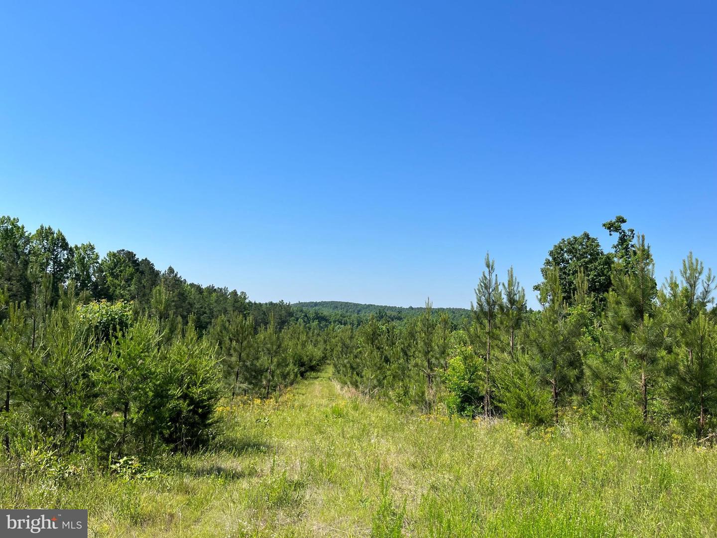MOUNTAIN CREEK ROAD (RT. 628) (TRACT: BK3208-3), MEHERRIN, Virginia 23954, ,Farm,For Sale,MOUNTAIN CREEK ROAD (RT. 628) (TRACT: BK3208-3),VAPE2000088 MLS # VAPE2000088 MOUNTAIN CREEK ROAD (RT. 628) (TRACT: BK3208-3), MEHERRIN, Virginia 23954, ,Farm,For Sale,MOUNTAIN CREEK ROAD (RT. 628) (TRACT: BK3208-3),VAPE2000088 MLS # VAPE2000088