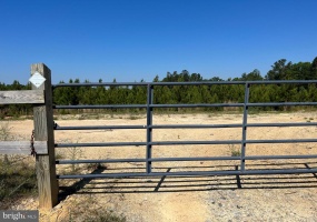 MOUNTAIN CREEK ROAD (RT. 628) (TRACT: BK3208-3), MEHERRIN, Virginia 23954, ,Farm,For Sale,MOUNTAIN CREEK ROAD (RT. 628) (TRACT: BK3208-3),VAPE2000088 MLS # VAPE2000088 MOUNTAIN CREEK ROAD (RT. 628) (TRACT: BK3208-3), MEHERRIN, Virginia 23954, ,Farm,For Sale,MOUNTAIN CREEK ROAD (RT. 628) (TRACT: BK3208-3),VAPE2000088 MLS # VAPE2000088