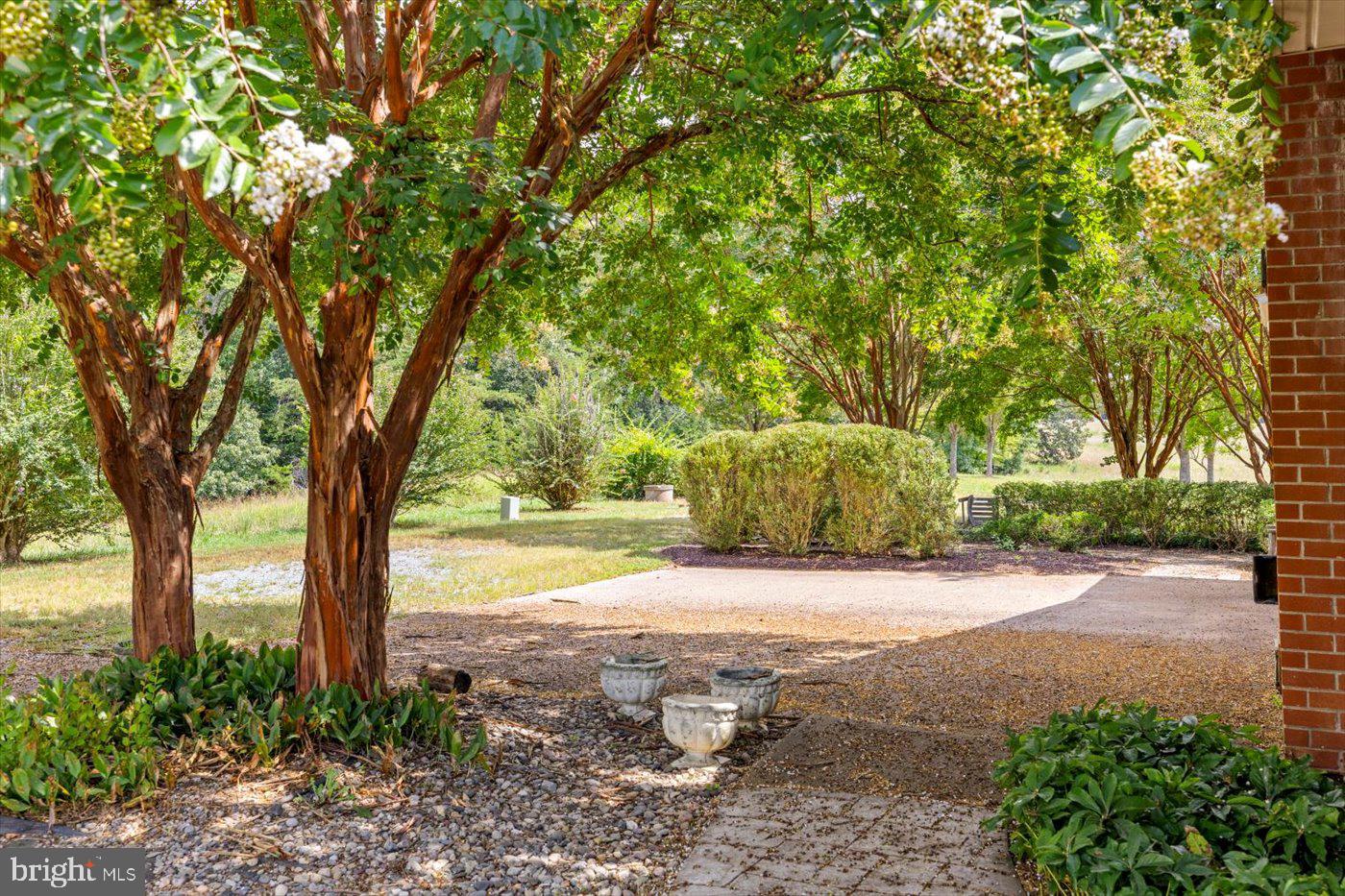 45 BOWLING FARM LN, FREDERICKSBURG, Virginia 22406, ,Farm,For Sale,45 BOWLING FARM LN,VAST2042770 MLS # VAST2042770 45 BOWLING FARM LN, FREDERICKSBURG, Virginia 22406, ,Farm,For Sale,45 BOWLING FARM LN,VAST2042770 MLS # VAST2042770