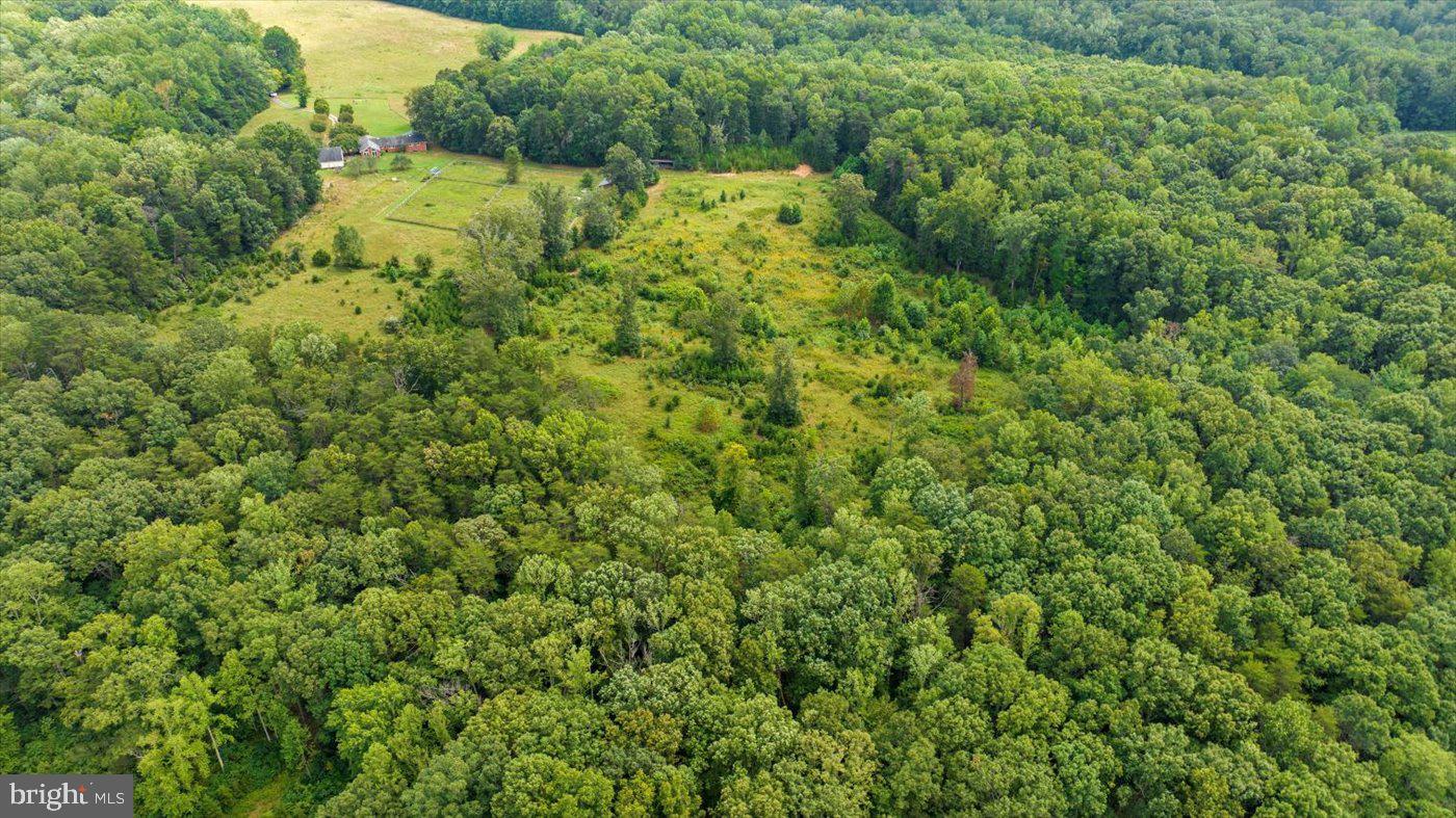 45 BOWLING FARM LN, FREDERICKSBURG, Virginia 22406, ,Farm,For Sale,45 BOWLING FARM LN,VAST2042770 MLS # VAST2042770 45 BOWLING FARM LN, FREDERICKSBURG, Virginia 22406, ,Farm,For Sale,45 BOWLING FARM LN,VAST2042770 MLS # VAST2042770