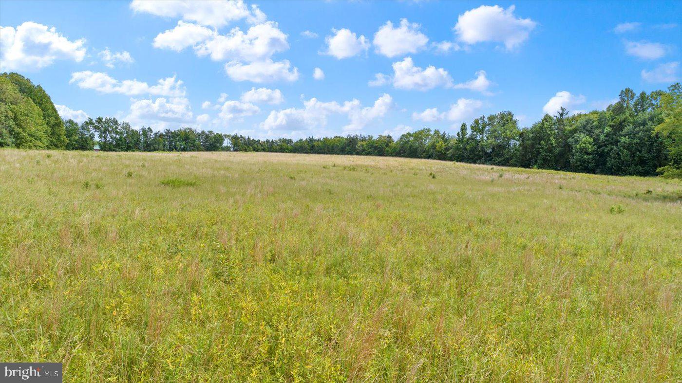 45 BOWLING FARM LN, FREDERICKSBURG, Virginia 22406, ,Farm,For Sale,45 BOWLING FARM LN,VAST2042770 MLS # VAST2042770 45 BOWLING FARM LN, FREDERICKSBURG, Virginia 22406, ,Farm,For Sale,45 BOWLING FARM LN,VAST2042770 MLS # VAST2042770