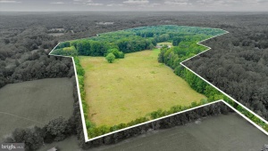 45 BOWLING FARM LN, FREDERICKSBURG, Virginia 22406, ,Farm,For Sale,45 BOWLING FARM LN,VAST2042770 MLS # VAST2042770