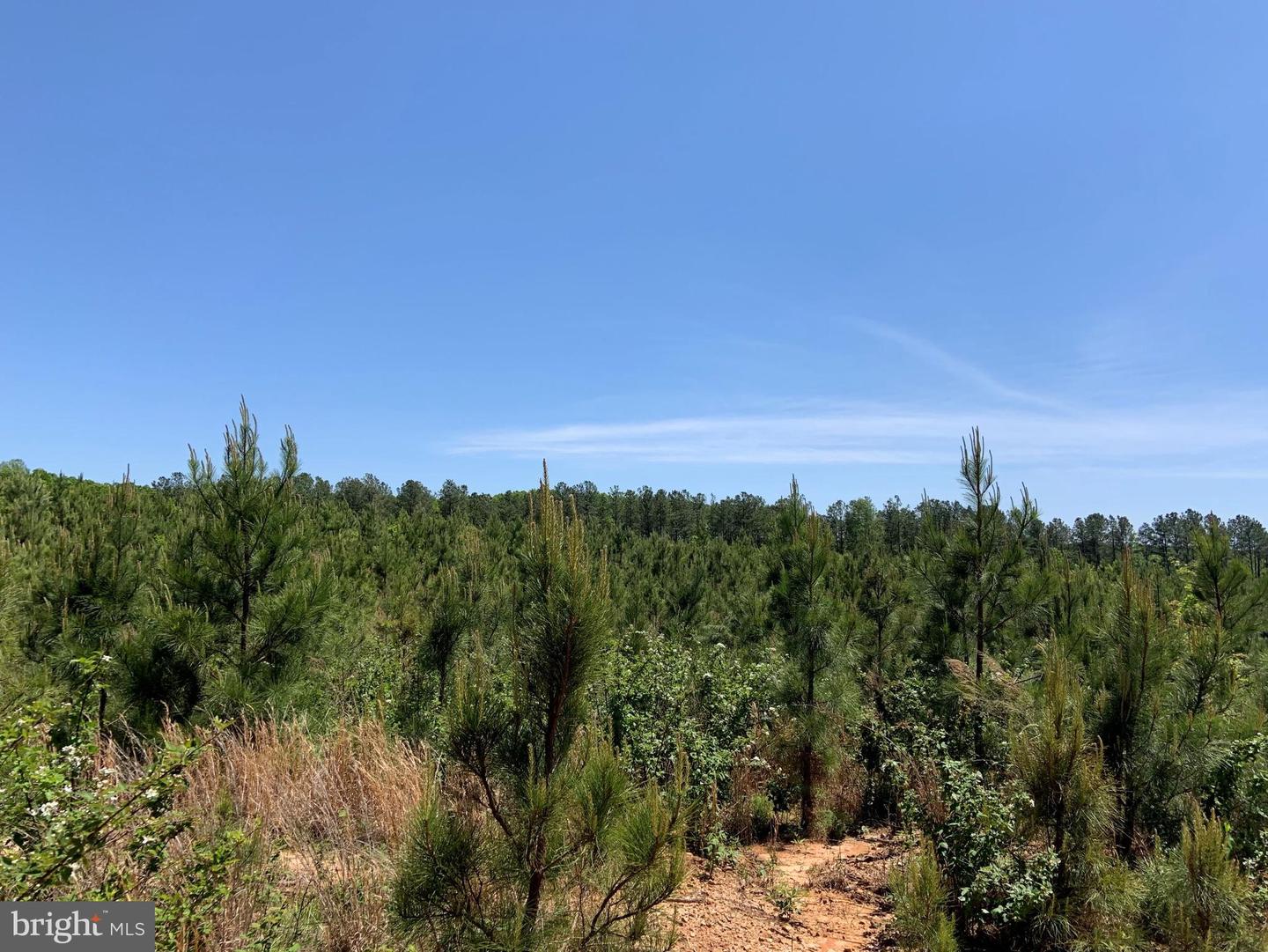 W POINT STEVENS ROAD (RT. 623) (TRACT: BK1443-1 ), DRAKES BRANCH, Virginia 23937, ,Farm,For Sale,W POINT STEVENS ROAD (RT. 623) (TRACT: BK1443-1 ),VACE2000016 MLS # VACE2000016 W POINT STEVENS ROAD (RT. 623) (TRACT: BK1443-1 ), DRAKES BRANCH, Virginia 23937, ,Farm,For Sale,W POINT STEVENS ROAD (RT. 623) (TRACT: BK1443-1 ),VACE2000016 MLS # VACE2000016