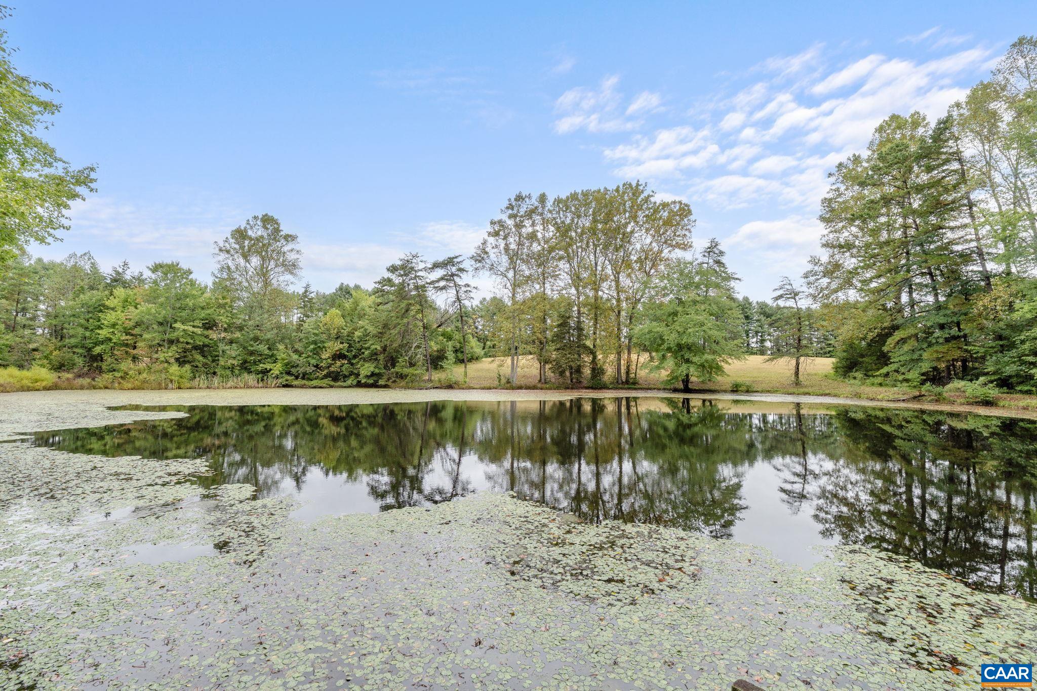 710 SHARPS CREEK RD, SCOTTSVILLE, Virginia 24590, 4 Bedrooms Bedrooms, ,3 BathroomsBathrooms,Residential,14,710 SHARPS CREEK RD,668803 MLS # 668803