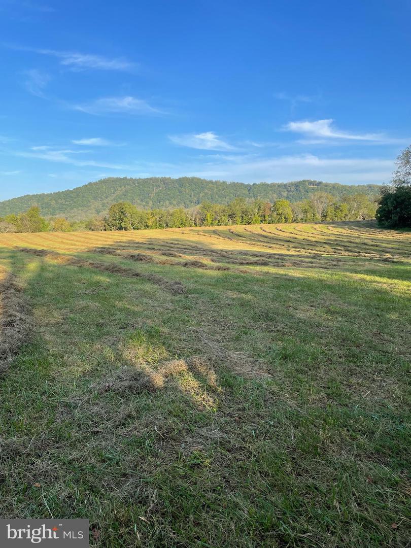 419 RUDASILL MILL RD, WOODVILLE, Virginia 22749, 2 Bedrooms Bedrooms, ,3 BathroomsBathrooms,Residential,For Sale,419 RUDASILL MILL RD,VARP2002254 MLS # VARP2002254 419 RUDASILL MILL RD, WOODVILLE, Virginia 22749, 2 Bedrooms Bedrooms, ,3 BathroomsBathrooms,Residential,For Sale,419 RUDASILL MILL RD,VARP2002254 MLS # VARP2002254