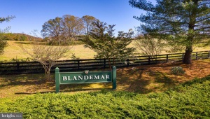 LOT 36 BLANDEMAR DR, CHARLOTTESVILLE, Virginia 22903, ,Land,For Sale,LOT 36 BLANDEMAR DR,VAAB2001068 MLS # VAAB2001068