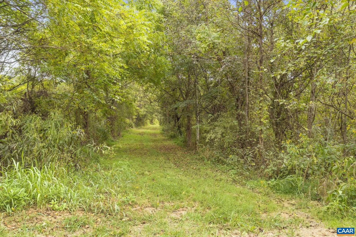 12189 NORWOOD RD, WINGINA, Virginia 24599, 3 Bedrooms Bedrooms, ,2 BathroomsBathrooms,Residential,For Sale,12189 NORWOOD RD,669555 MLS # 669555