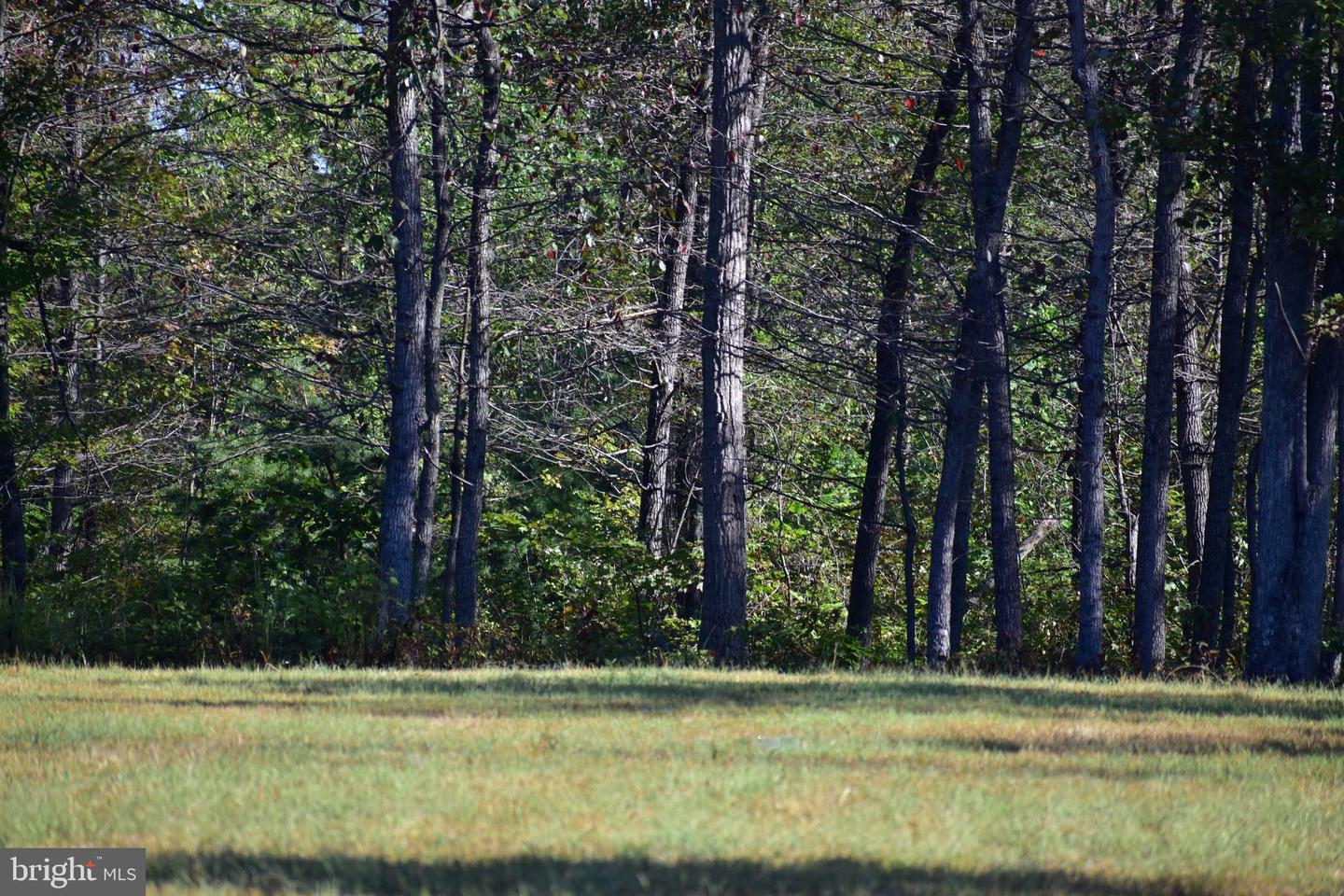 LOT 1 (128.556 ACRES) LAUREL GROVE RD, WINCHESTER, Virginia 22602, ,Farm,For Sale,LOT 1 (128.556 ACRES) LAUREL GROVE RD,VAFV2037162 MLS # VAFV2037162 LOT 1 (128.556 ACRES) LAUREL GROVE RD, WINCHESTER, Virginia 22602, ,Farm,For Sale,LOT 1 (128.556 ACRES) LAUREL GROVE RD,VAFV2037162 MLS # VAFV2037162