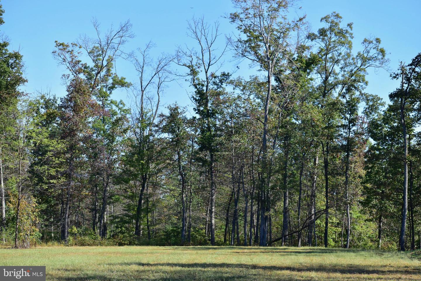 LOT 1 (128.556 ACRES) LAUREL GROVE RD, WINCHESTER, Virginia 22602, ,Farm,For Sale,LOT 1 (128.556 ACRES) LAUREL GROVE RD,VAFV2037162 MLS # VAFV2037162 LOT 1 (128.556 ACRES) LAUREL GROVE RD, WINCHESTER, Virginia 22602, ,Farm,For Sale,LOT 1 (128.556 ACRES) LAUREL GROVE RD,VAFV2037162 MLS # VAFV2037162