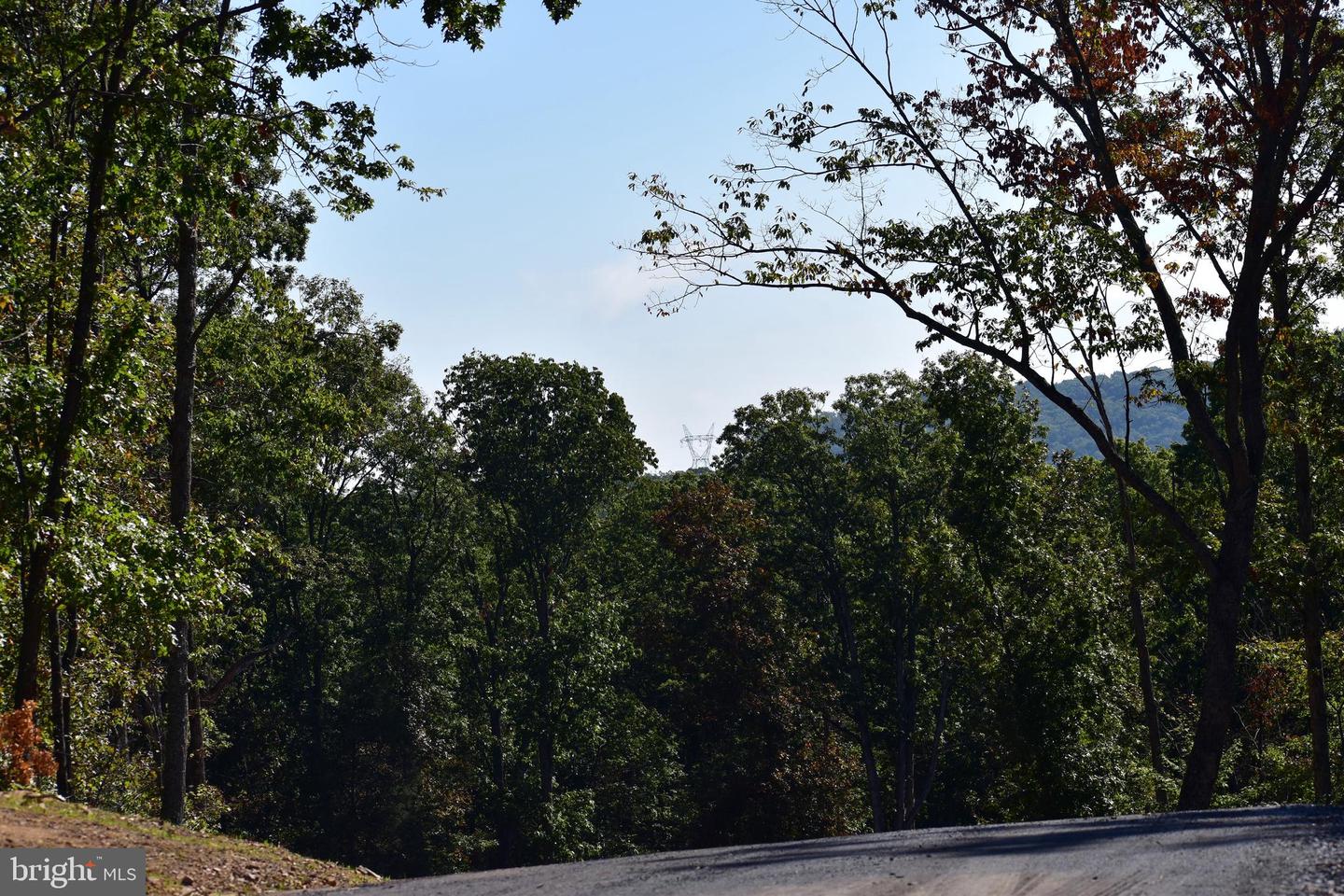 LOT 1 (128.556 ACRES) LAUREL GROVE RD, WINCHESTER, Virginia 22602, ,Farm,For Sale,LOT 1 (128.556 ACRES) LAUREL GROVE RD,VAFV2037162 MLS # VAFV2037162 LOT 1 (128.556 ACRES) LAUREL GROVE RD, WINCHESTER, Virginia 22602, ,Farm,For Sale,LOT 1 (128.556 ACRES) LAUREL GROVE RD,VAFV2037162 MLS # VAFV2037162