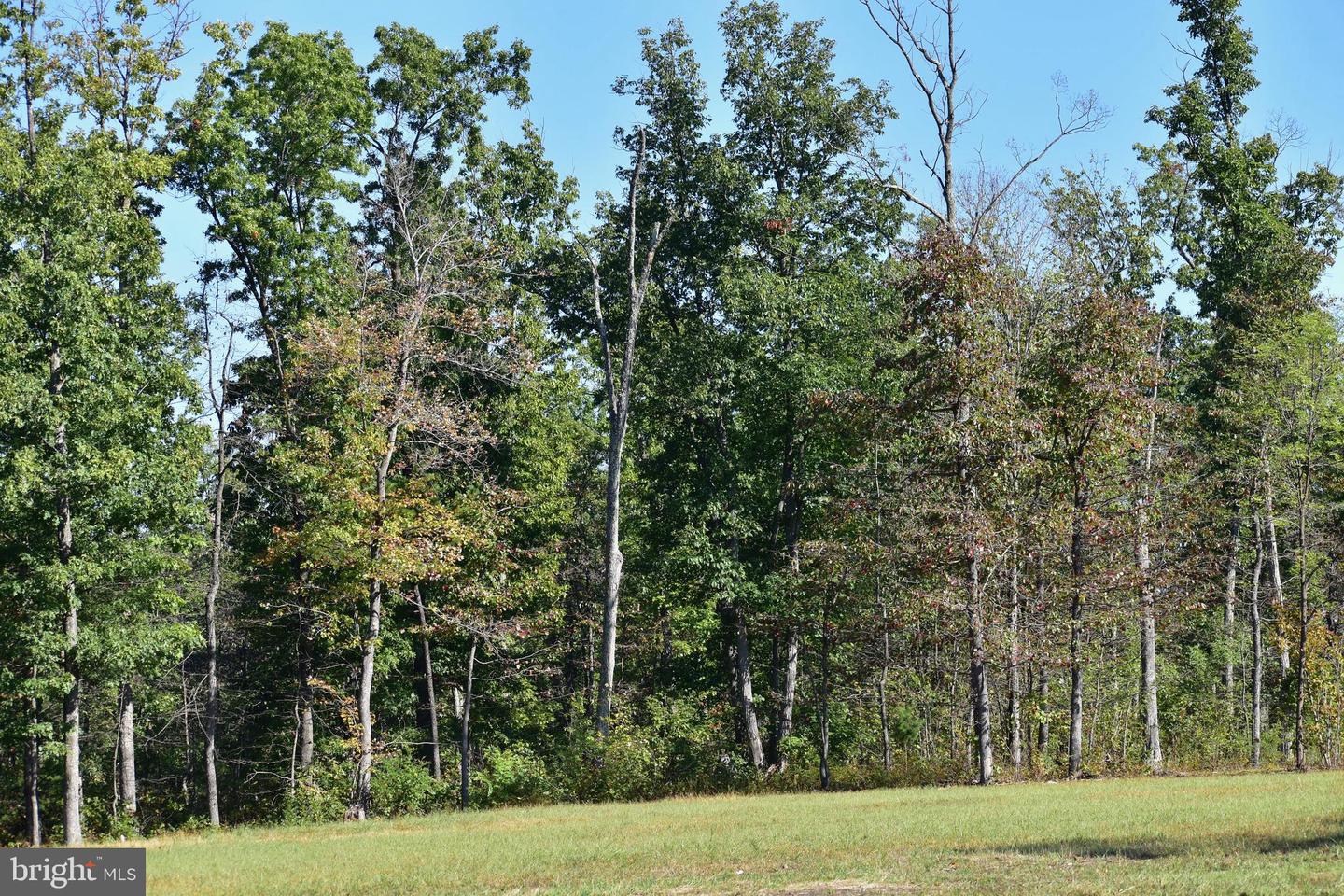 LOT 1 (128.556 ACRES) LAUREL GROVE RD, WINCHESTER, Virginia 22602, ,Farm,For Sale,LOT 1 (128.556 ACRES) LAUREL GROVE RD,VAFV2037162 MLS # VAFV2037162 LOT 1 (128.556 ACRES) LAUREL GROVE RD, WINCHESTER, Virginia 22602, ,Farm,For Sale,LOT 1 (128.556 ACRES) LAUREL GROVE RD,VAFV2037162 MLS # VAFV2037162