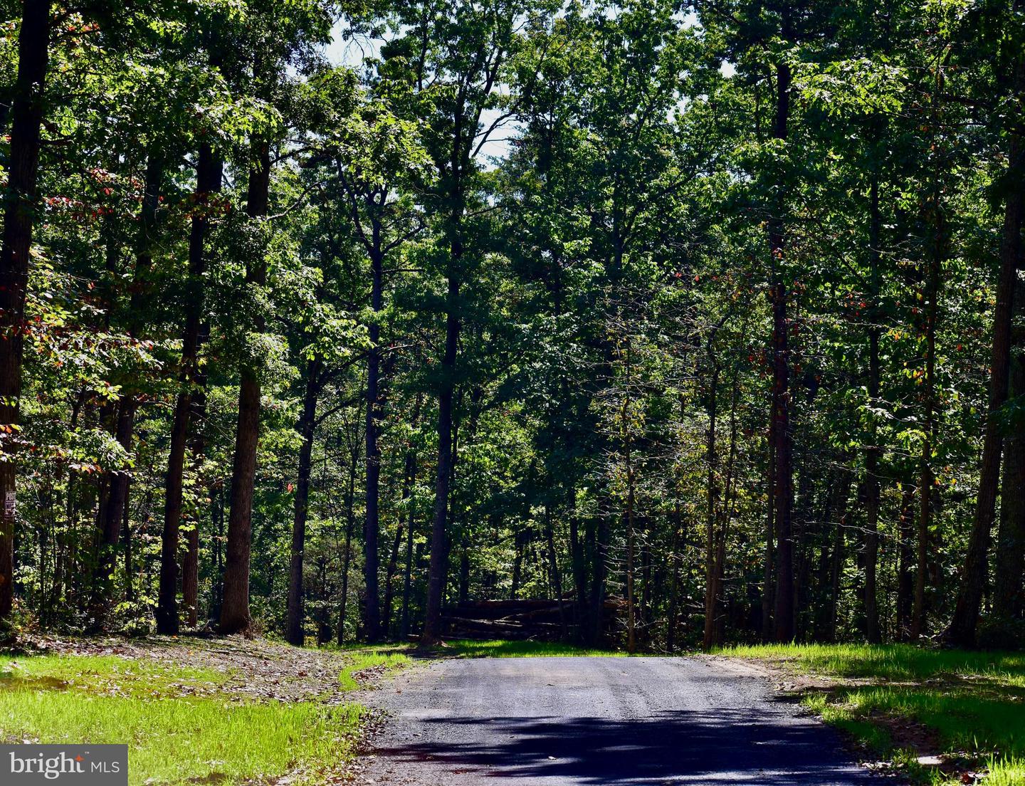 LOT 1 (128.556 ACRES) LAUREL GROVE RD, WINCHESTER, Virginia 22602, ,Farm,For Sale,LOT 1 (128.556 ACRES) LAUREL GROVE RD,VAFV2037162 MLS # VAFV2037162 LOT 1 (128.556 ACRES) LAUREL GROVE RD, WINCHESTER, Virginia 22602, ,Farm,For Sale,LOT 1 (128.556 ACRES) LAUREL GROVE RD,VAFV2037162 MLS # VAFV2037162