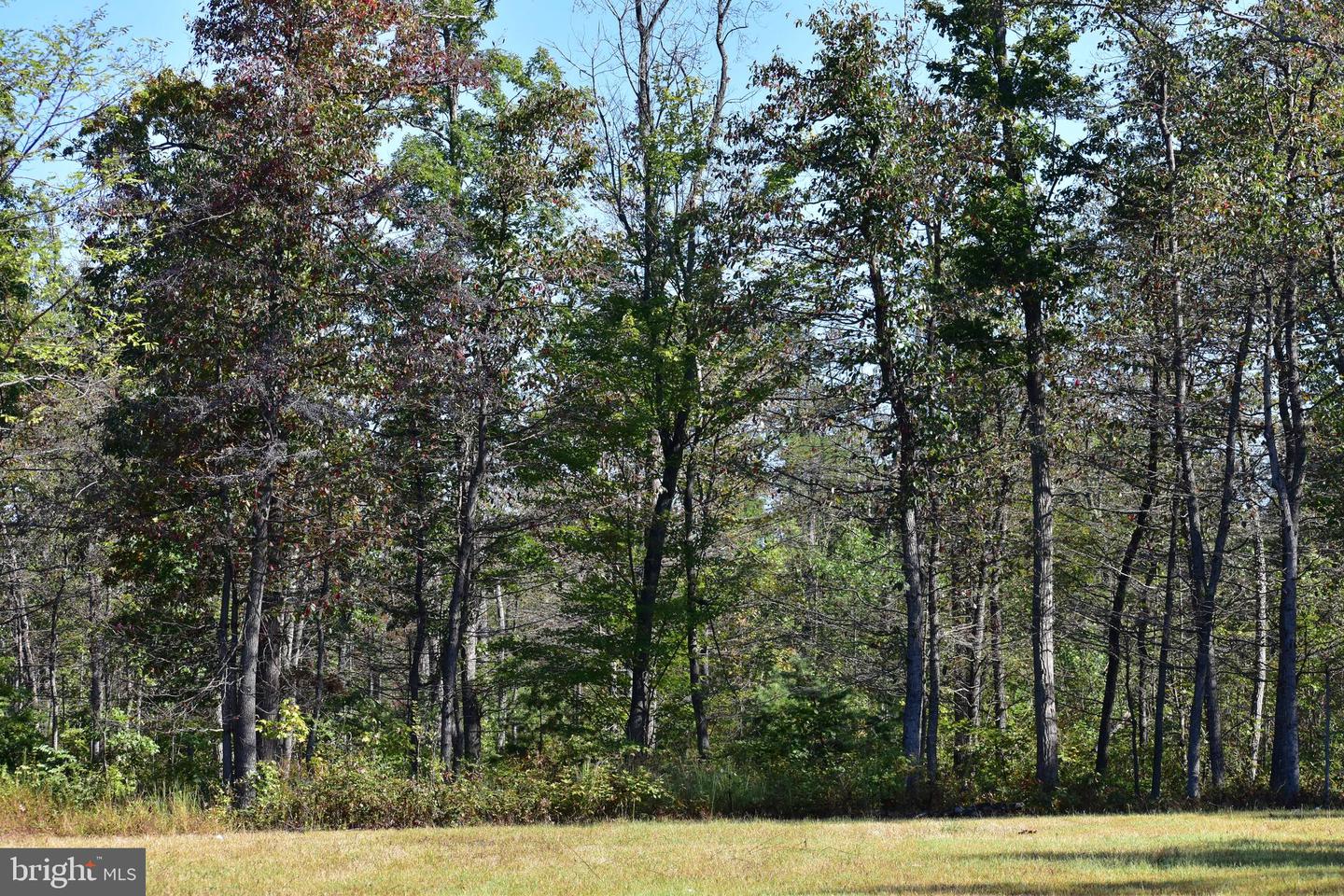 LOT 1 (128.556 ACRES) LAUREL GROVE RD, WINCHESTER, Virginia 22602, ,Farm,For Sale,LOT 1 (128.556 ACRES) LAUREL GROVE RD,VAFV2037162 MLS # VAFV2037162 LOT 1 (128.556 ACRES) LAUREL GROVE RD, WINCHESTER, Virginia 22602, ,Farm,For Sale,LOT 1 (128.556 ACRES) LAUREL GROVE RD,VAFV2037162 MLS # VAFV2037162