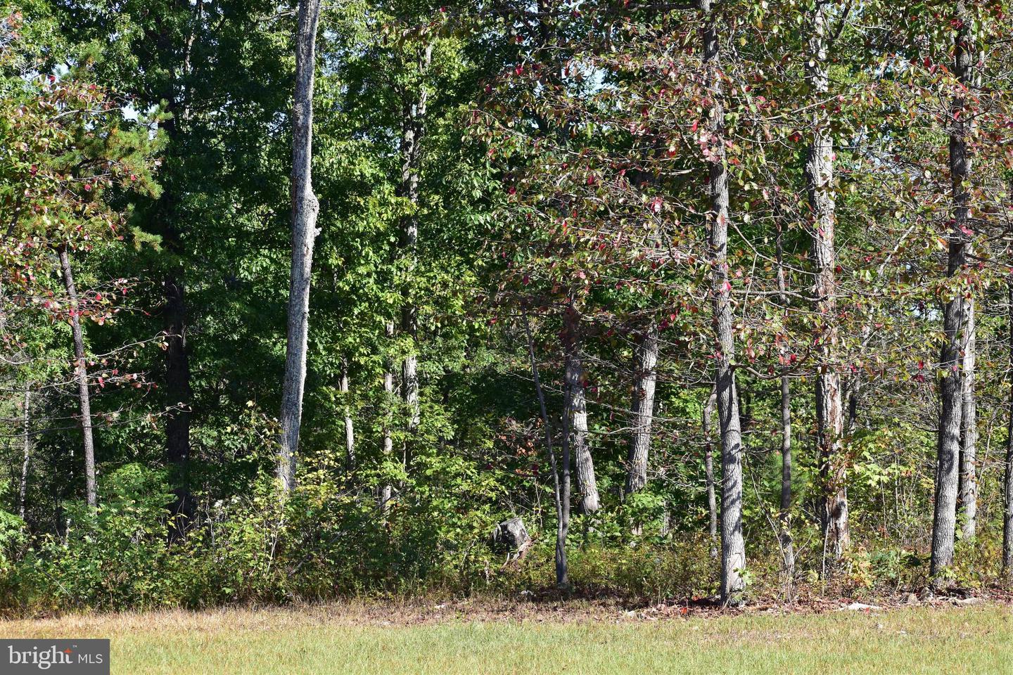 LOT 1 (128.556 ACRES) LAUREL GROVE RD, WINCHESTER, Virginia 22602, ,Farm,For Sale,LOT 1 (128.556 ACRES) LAUREL GROVE RD,VAFV2037162 MLS # VAFV2037162 LOT 1 (128.556 ACRES) LAUREL GROVE RD, WINCHESTER, Virginia 22602, ,Farm,For Sale,LOT 1 (128.556 ACRES) LAUREL GROVE RD,VAFV2037162 MLS # VAFV2037162