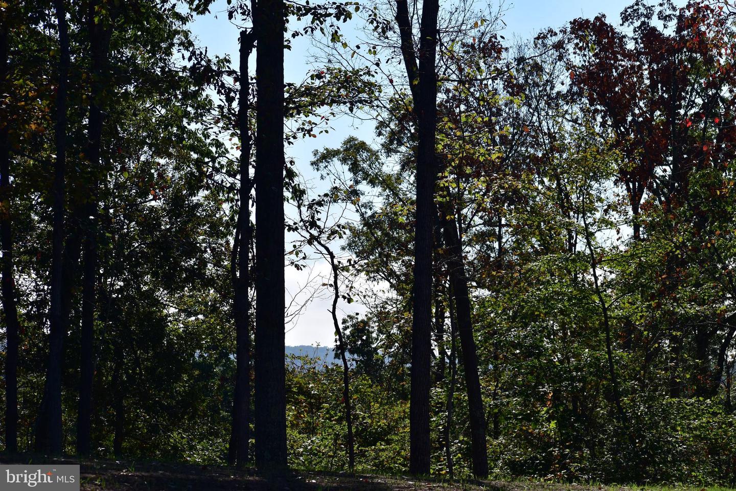 LOT 1 (128.556 ACRES) LAUREL GROVE RD, WINCHESTER, Virginia 22602, ,Farm,For Sale,LOT 1 (128.556 ACRES) LAUREL GROVE RD,VAFV2037162 MLS # VAFV2037162 LOT 1 (128.556 ACRES) LAUREL GROVE RD, WINCHESTER, Virginia 22602, ,Farm,For Sale,LOT 1 (128.556 ACRES) LAUREL GROVE RD,VAFV2037162 MLS # VAFV2037162
