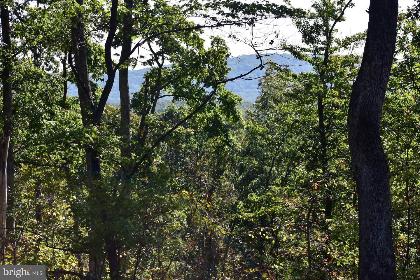 LOT 1 (128.556 ACRES) LAUREL GROVE RD, WINCHESTER, Virginia 22602, ,Farm,For Sale,LOT 1 (128.556 ACRES) LAUREL GROVE RD,VAFV2037162 MLS # VAFV2037162 LOT 1 (128.556 ACRES) LAUREL GROVE RD, WINCHESTER, Virginia 22602, ,Farm,For Sale,LOT 1 (128.556 ACRES) LAUREL GROVE RD,VAFV2037162 MLS # VAFV2037162