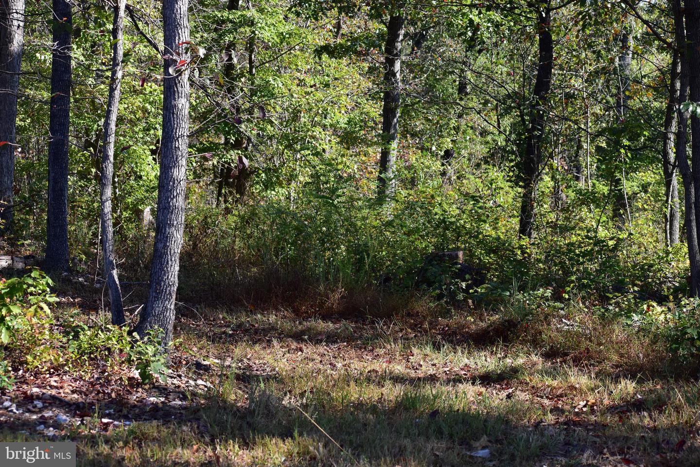 LOT 1 (128.556 ACRES) LAUREL GROVE RD, WINCHESTER, Virginia 22602, ,Farm,For Sale,LOT 1 (128.556 ACRES) LAUREL GROVE RD,VAFV2037162 MLS # VAFV2037162 LOT 1 (128.556 ACRES) LAUREL GROVE RD, WINCHESTER, Virginia 22602, ,Farm,For Sale,LOT 1 (128.556 ACRES) LAUREL GROVE RD,VAFV2037162 MLS # VAFV2037162