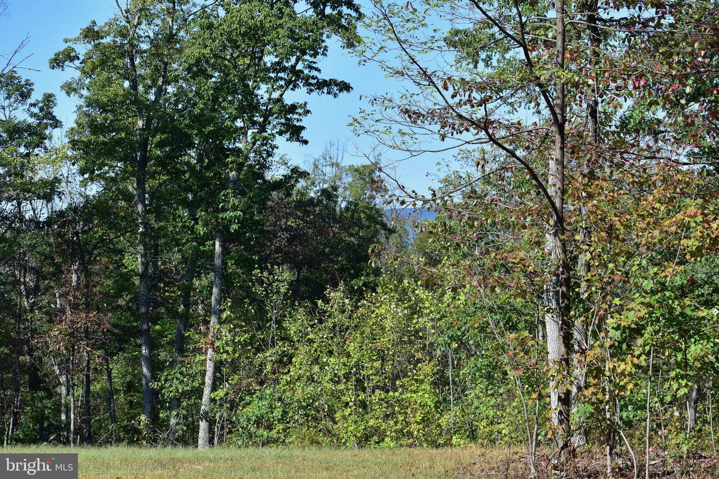 LOT 1 (128.556 ACRES) LAUREL GROVE RD, WINCHESTER, Virginia 22602, ,Farm,For Sale,LOT 1 (128.556 ACRES) LAUREL GROVE RD,VAFV2037162 MLS # VAFV2037162 LOT 1 (128.556 ACRES) LAUREL GROVE RD, WINCHESTER, Virginia 22602, ,Farm,For Sale,LOT 1 (128.556 ACRES) LAUREL GROVE RD,VAFV2037162 MLS # VAFV2037162