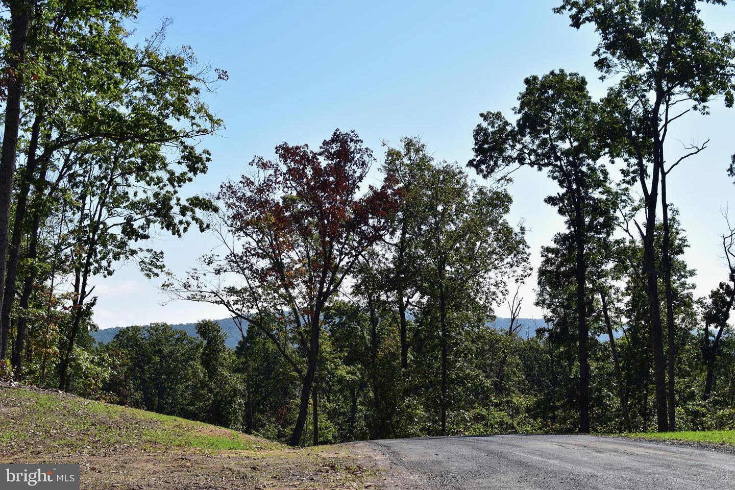 LOT 1 (128.556 ACRES) LAUREL GROVE RD, WINCHESTER, Virginia 22602, ,Farm,For Sale,LOT 1 (128.556 ACRES) LAUREL GROVE RD,VAFV2037162 MLS # VAFV2037162 LOT 1 (128.556 ACRES) LAUREL GROVE RD, WINCHESTER, Virginia 22602, ,Farm,For Sale,LOT 1 (128.556 ACRES) LAUREL GROVE RD,VAFV2037162 MLS # VAFV2037162