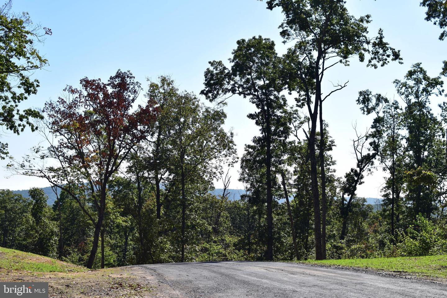 LOT 1 (128.556 ACRES) LAUREL GROVE RD, WINCHESTER, Virginia 22602, ,Farm,For Sale,LOT 1 (128.556 ACRES) LAUREL GROVE RD,VAFV2037162 MLS # VAFV2037162 LOT 1 (128.556 ACRES) LAUREL GROVE RD, WINCHESTER, Virginia 22602, ,Farm,For Sale,LOT 1 (128.556 ACRES) LAUREL GROVE RD,VAFV2037162 MLS # VAFV2037162
