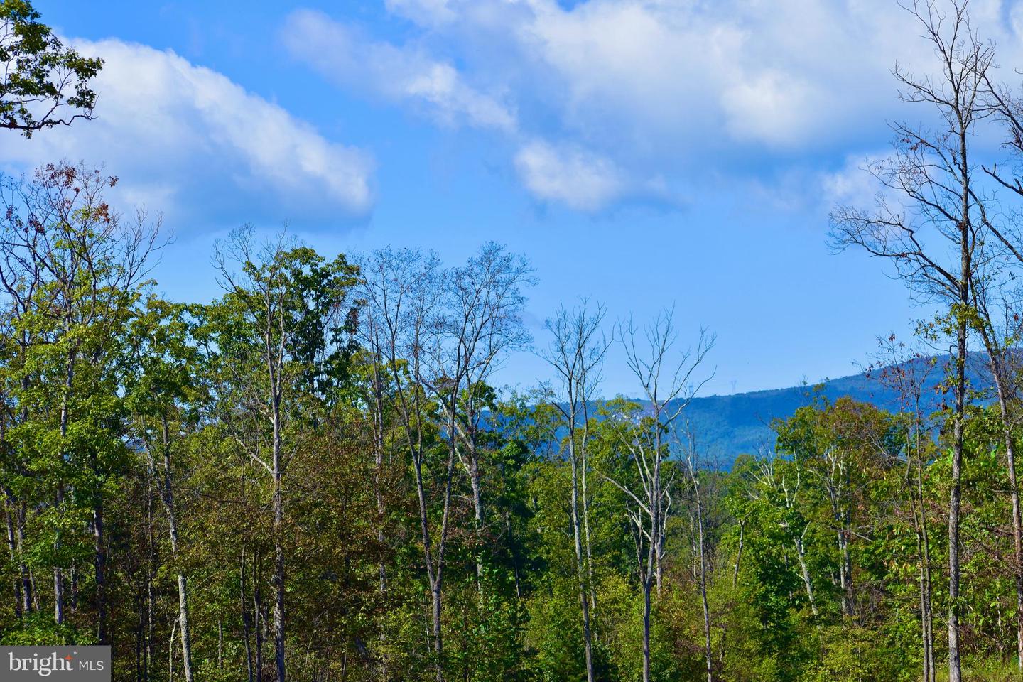 LOT 1 (128.556 ACRES) LAUREL GROVE RD, WINCHESTER, Virginia 22602, ,Farm,For Sale,LOT 1 (128.556 ACRES) LAUREL GROVE RD,VAFV2037162 MLS # VAFV2037162 LOT 1 (128.556 ACRES) LAUREL GROVE RD, WINCHESTER, Virginia 22602, ,Farm,For Sale,LOT 1 (128.556 ACRES) LAUREL GROVE RD,VAFV2037162 MLS # VAFV2037162
