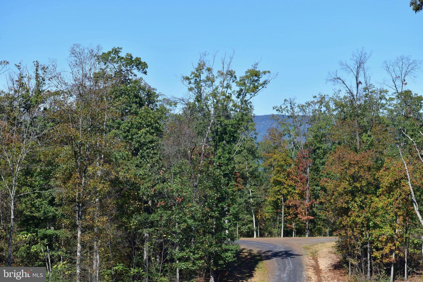 LOT 1 (128.556 ACRES) LAUREL GROVE RD, WINCHESTER, Virginia 22602, ,Farm,For Sale,LOT 1 (128.556 ACRES) LAUREL GROVE RD,VAFV2037162 MLS # VAFV2037162 LOT 1 (128.556 ACRES) LAUREL GROVE RD, WINCHESTER, Virginia 22602, ,Farm,For Sale,LOT 1 (128.556 ACRES) LAUREL GROVE RD,VAFV2037162 MLS # VAFV2037162