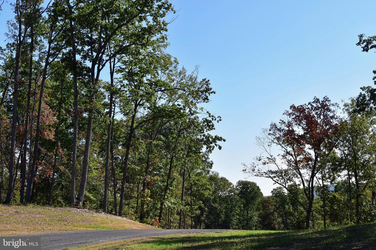 LOT 1 (128.556 ACRES) LAUREL GROVE RD, WINCHESTER, Virginia 22602, ,Farm,For Sale,LOT 1 (128.556 ACRES) LAUREL GROVE RD,VAFV2037162 MLS # VAFV2037162 LOT 1 (128.556 ACRES) LAUREL GROVE RD, WINCHESTER, Virginia 22602, ,Farm,For Sale,LOT 1 (128.556 ACRES) LAUREL GROVE RD,VAFV2037162 MLS # VAFV2037162