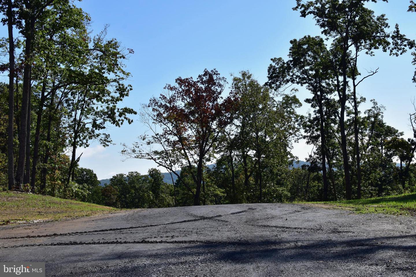 LOT 1 (128.556 ACRES) LAUREL GROVE RD, WINCHESTER, Virginia 22602, ,Farm,For Sale,LOT 1 (128.556 ACRES) LAUREL GROVE RD,VAFV2037162 MLS # VAFV2037162 LOT 1 (128.556 ACRES) LAUREL GROVE RD, WINCHESTER, Virginia 22602, ,Farm,For Sale,LOT 1 (128.556 ACRES) LAUREL GROVE RD,VAFV2037162 MLS # VAFV2037162