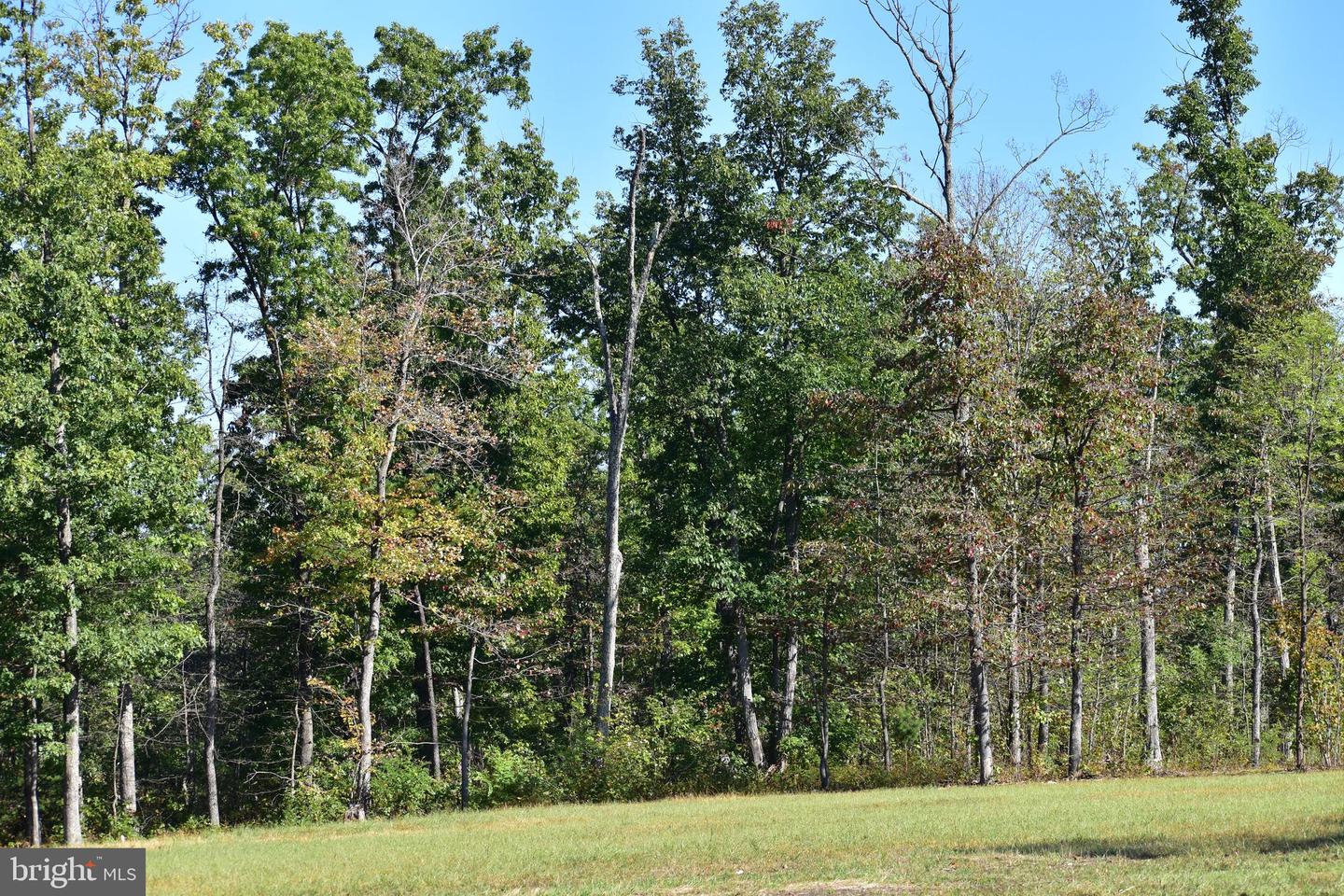 LOT 1 (128.556 ACRES) LAUREL GROVE RD, WINCHESTER, Virginia 22602, ,Farm,For Sale,LOT 1 (128.556 ACRES) LAUREL GROVE RD,VAFV2037162 MLS # VAFV2037162 LOT 1 (128.556 ACRES) LAUREL GROVE RD, WINCHESTER, Virginia 22602, ,Farm,For Sale,LOT 1 (128.556 ACRES) LAUREL GROVE RD,VAFV2037162 MLS # VAFV2037162