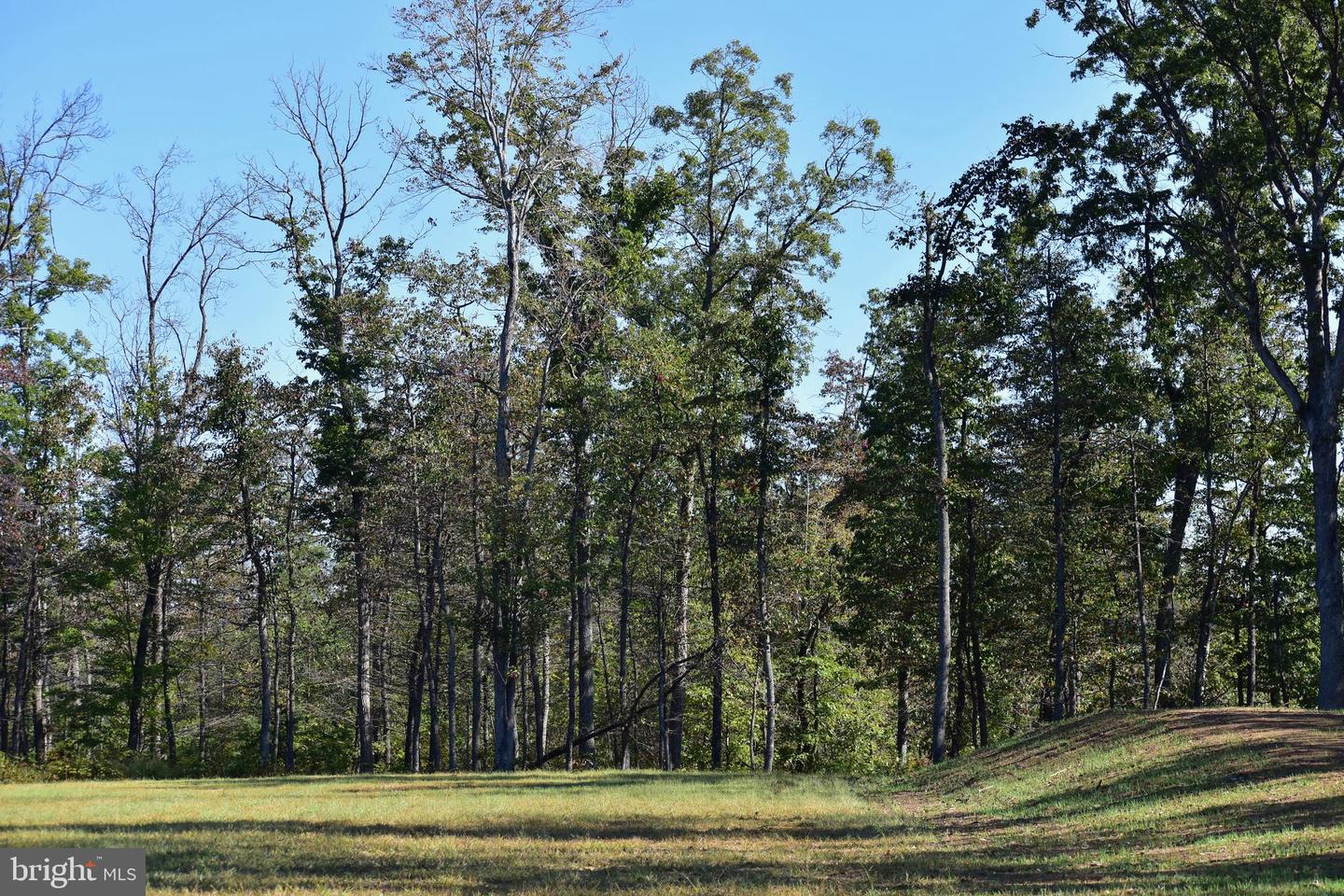 LOT 1 (128.556 ACRES) LAUREL GROVE RD, WINCHESTER, Virginia 22602, ,Farm,For Sale,LOT 1 (128.556 ACRES) LAUREL GROVE RD,VAFV2037162 MLS # VAFV2037162 LOT 1 (128.556 ACRES) LAUREL GROVE RD, WINCHESTER, Virginia 22602, ,Farm,For Sale,LOT 1 (128.556 ACRES) LAUREL GROVE RD,VAFV2037162 MLS # VAFV2037162