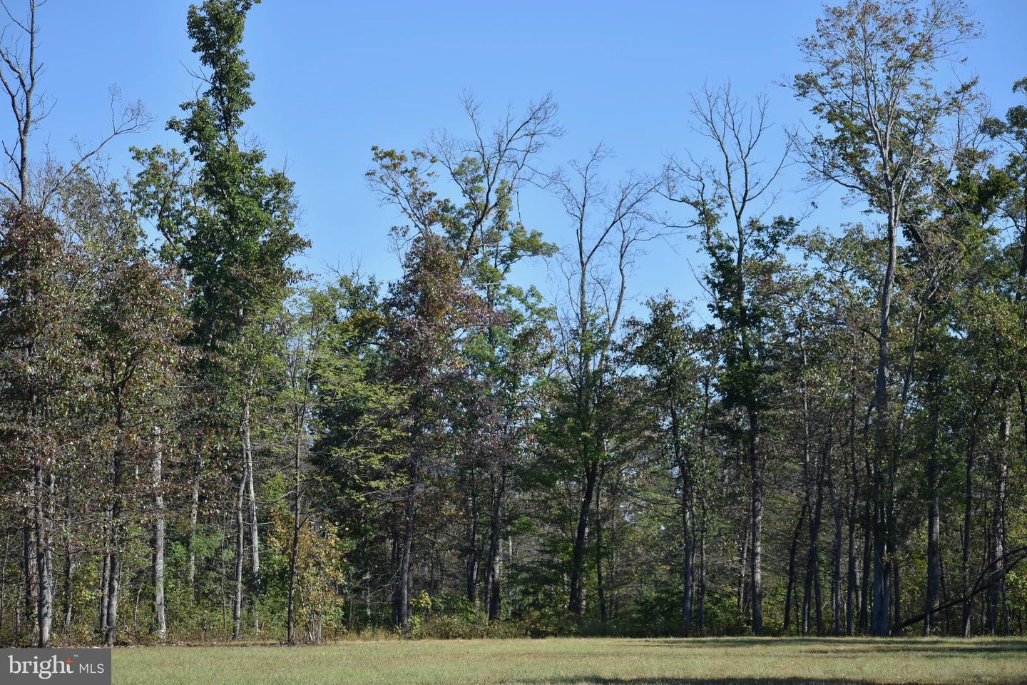 LOT 1 (128.556 ACRES) LAUREL GROVE RD, WINCHESTER, Virginia 22602, ,Farm,For Sale,LOT 1 (128.556 ACRES) LAUREL GROVE RD,VAFV2037162 MLS # VAFV2037162 LOT 1 (128.556 ACRES) LAUREL GROVE RD, WINCHESTER, Virginia 22602, ,Farm,For Sale,LOT 1 (128.556 ACRES) LAUREL GROVE RD,VAFV2037162 MLS # VAFV2037162