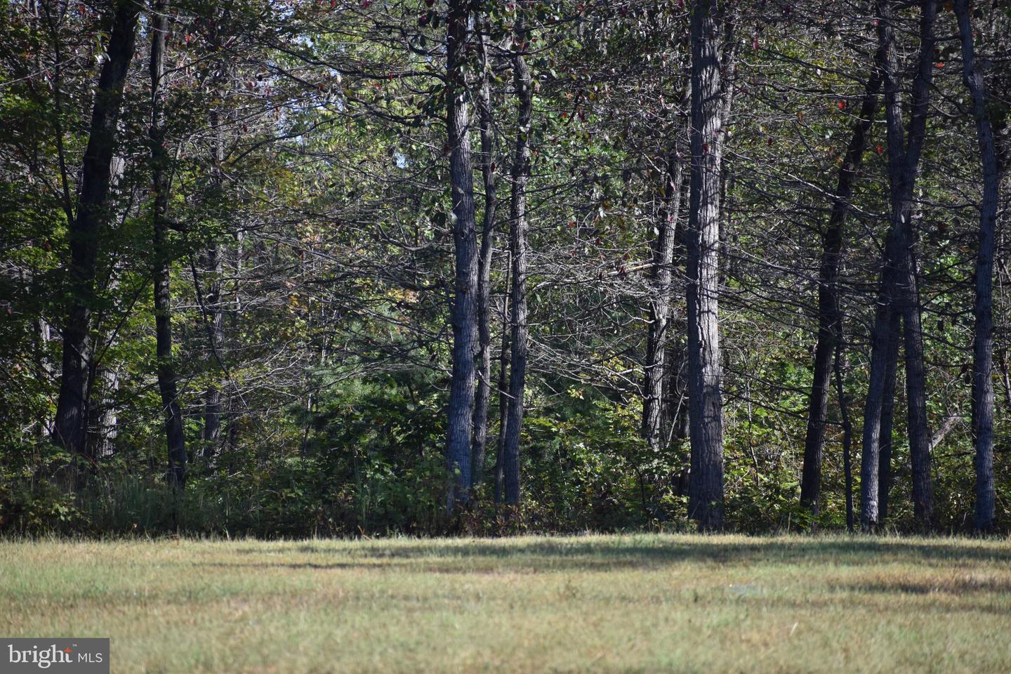 LOT 1 (128.556 ACRES) LAUREL GROVE RD, WINCHESTER, Virginia 22602, ,Farm,For Sale,LOT 1 (128.556 ACRES) LAUREL GROVE RD,VAFV2037162 MLS # VAFV2037162 LOT 1 (128.556 ACRES) LAUREL GROVE RD, WINCHESTER, Virginia 22602, ,Farm,For Sale,LOT 1 (128.556 ACRES) LAUREL GROVE RD,VAFV2037162 MLS # VAFV2037162