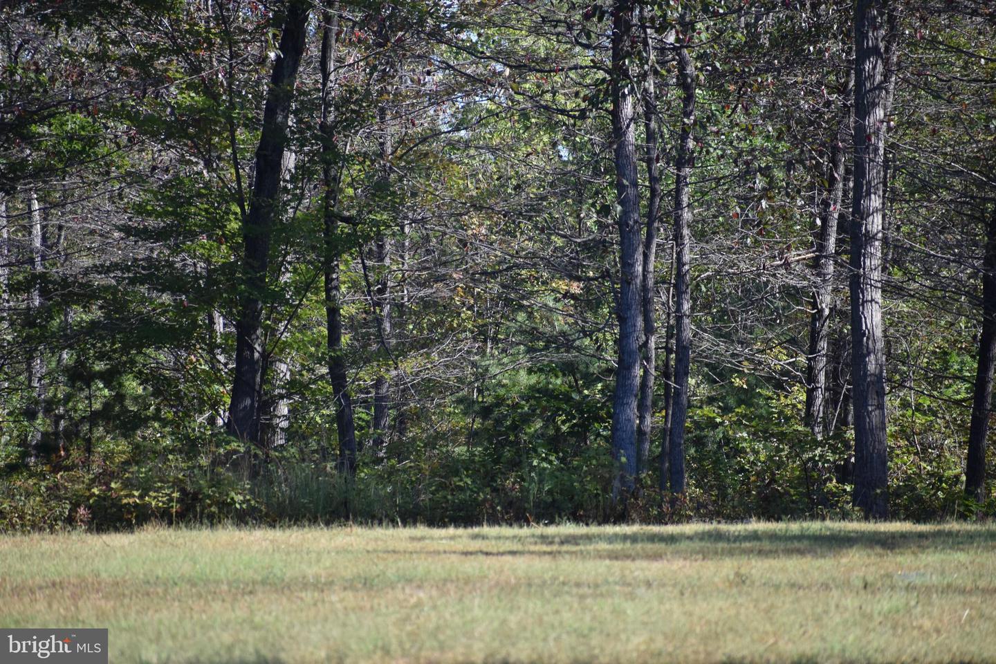 LOT 1 (128.556 ACRES) LAUREL GROVE RD, WINCHESTER, Virginia 22602, ,Farm,For Sale,LOT 1 (128.556 ACRES) LAUREL GROVE RD,VAFV2037162 MLS # VAFV2037162 LOT 1 (128.556 ACRES) LAUREL GROVE RD, WINCHESTER, Virginia 22602, ,Farm,For Sale,LOT 1 (128.556 ACRES) LAUREL GROVE RD,VAFV2037162 MLS # VAFV2037162