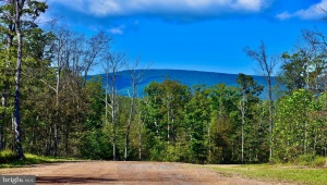 LOT 1 (128.556 ACRES) LAUREL GROVE RD, WINCHESTER, Virginia 22602, ,Farm,For Sale,LOT 1 (128.556 ACRES) LAUREL GROVE RD,VAFV2037162 MLS # VAFV2037162