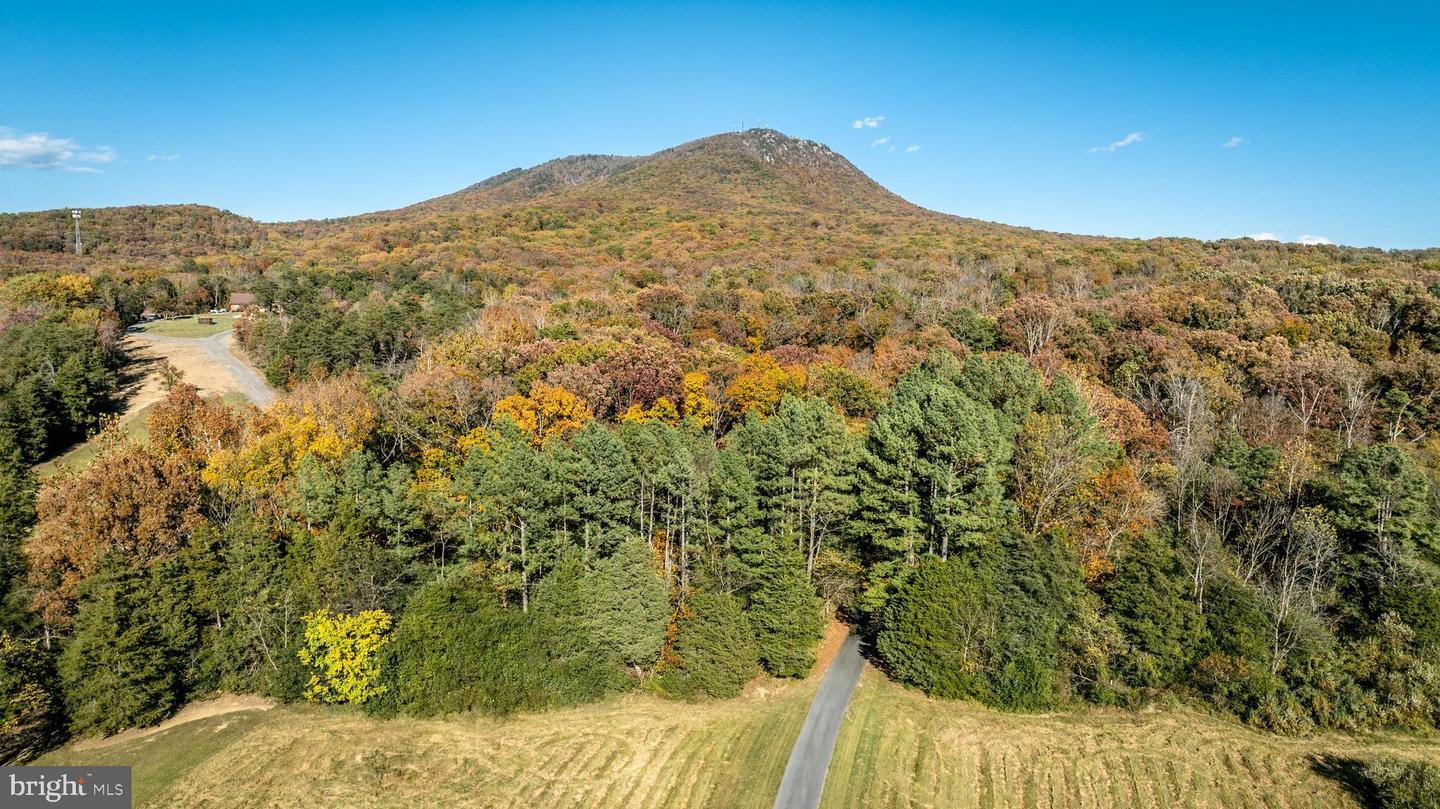 5983 LABS RUN LN, PENN LAIRD, Virginia 22846, 4 Bedrooms Bedrooms, ,3 BathroomsBathrooms,Residential,For Sale,5983 LABS RUN LN,VARO2002248 MLS # VARO2002248