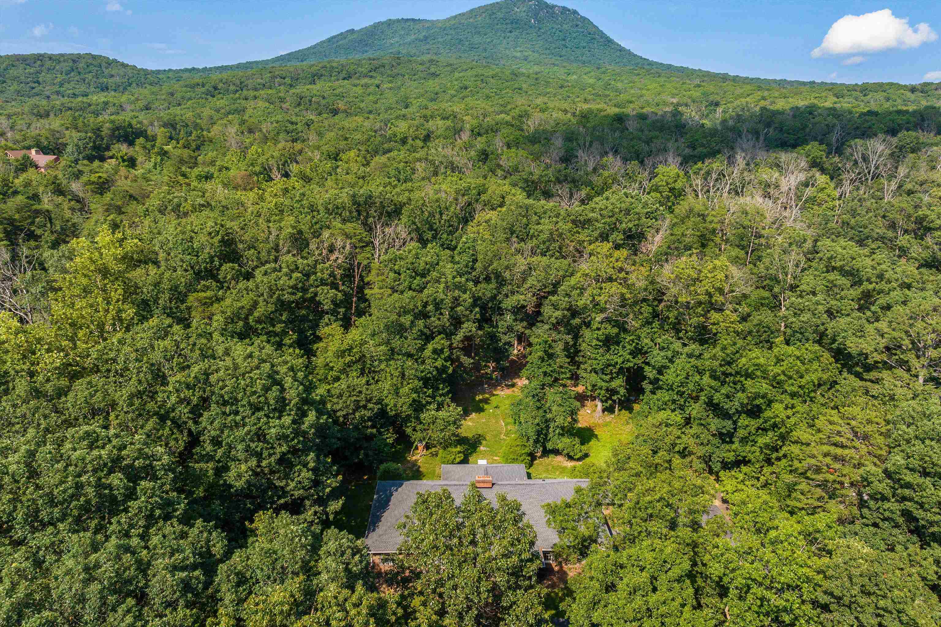 5983 LABS RUN LN, PENN LAIRD, Virginia 22846, 4 Bedrooms Bedrooms, ,3 BathroomsBathrooms,Residential,14,5983 LABS RUN LN,662500 MLS # 662500