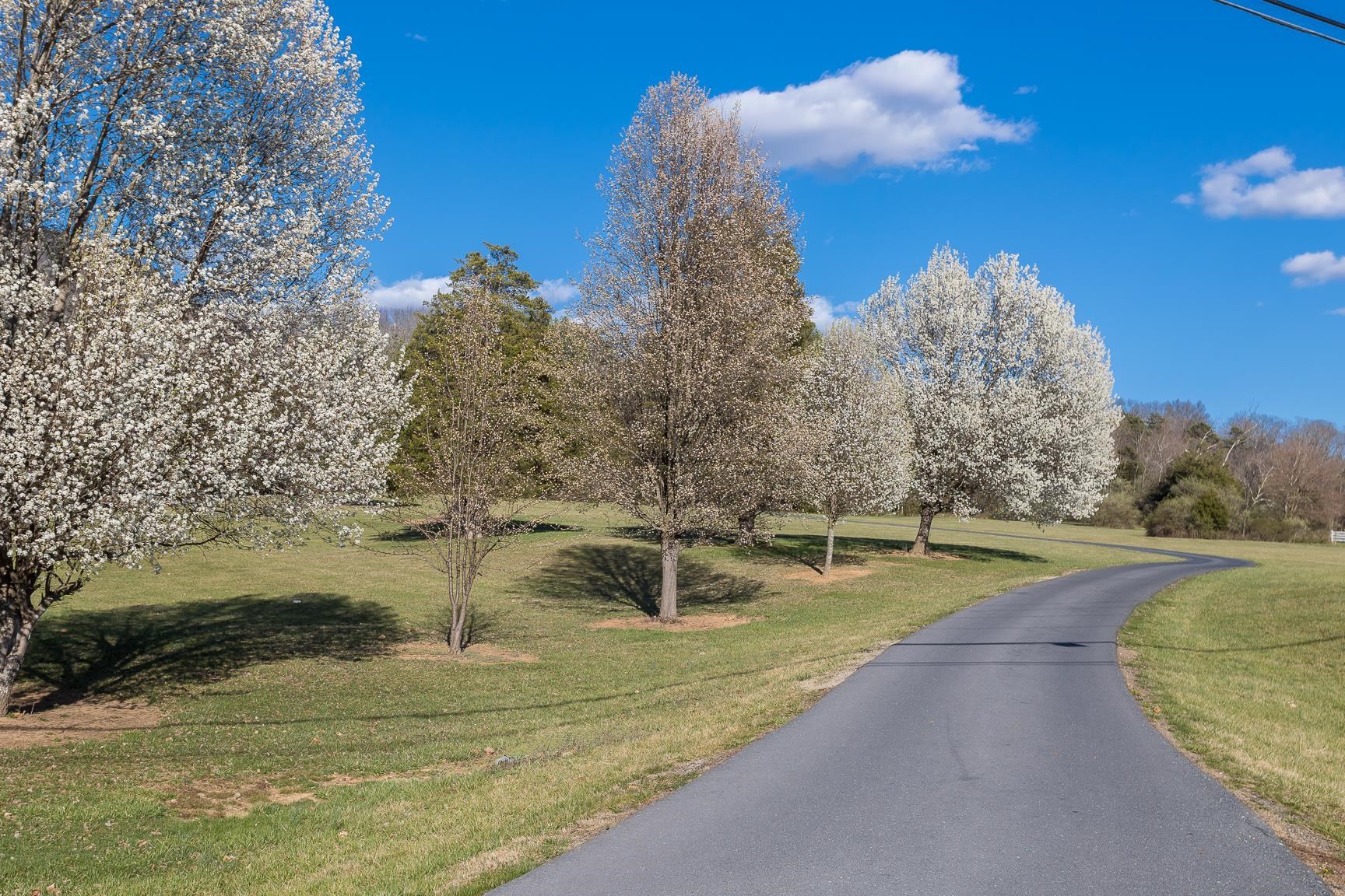 5983 LABS RUN LN, PENN LAIRD, Virginia 22846, 4 Bedrooms Bedrooms, ,3 BathroomsBathrooms,Residential,14,5983 LABS RUN LN,662500 MLS # 662500 5983 LABS RUN LN, PENN LAIRD, Virginia 22846, 4 Bedrooms Bedrooms, ,3 BathroomsBathrooms,Residential,14,5983 LABS RUN LN,662500 MLS # 662500