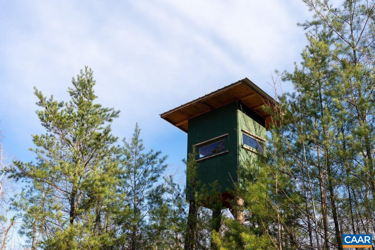 0 FOOTHILLS RD, CALLAWAY, Virginia 24067, ,Farm,For Sale,0 FOOTHILLS RD,669617 MLS # 669617 0 FOOTHILLS RD, CALLAWAY, Virginia 24067, ,Farm,For Sale,0 FOOTHILLS RD,669617 MLS # 669617