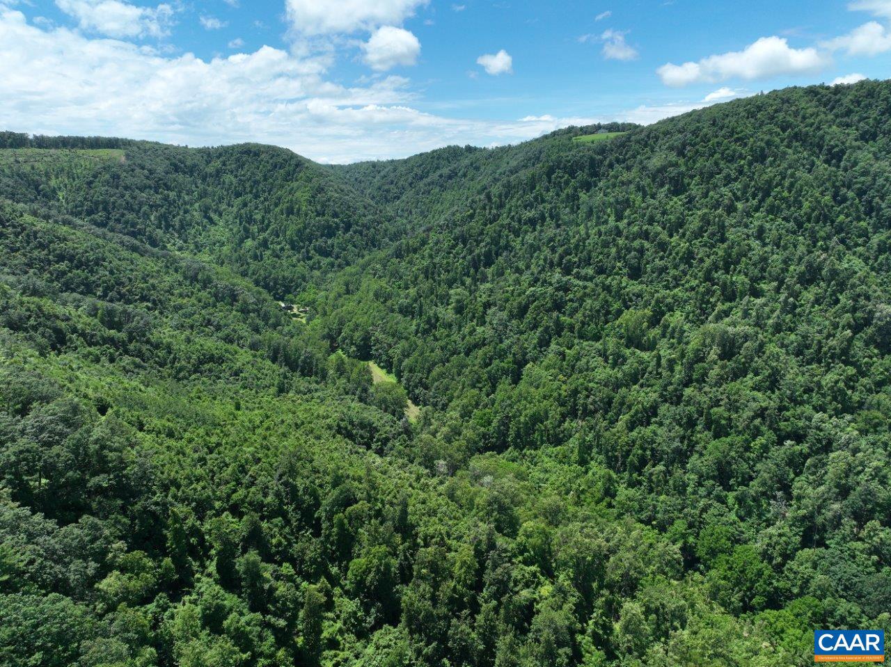 0 FOOTHILLS RD, CALLAWAY, Virginia 24067, ,Farm,For Sale,0 FOOTHILLS RD,669617 MLS # 669617 0 FOOTHILLS RD, CALLAWAY, Virginia 24067, ,Farm,For Sale,0 FOOTHILLS RD,669617 MLS # 669617