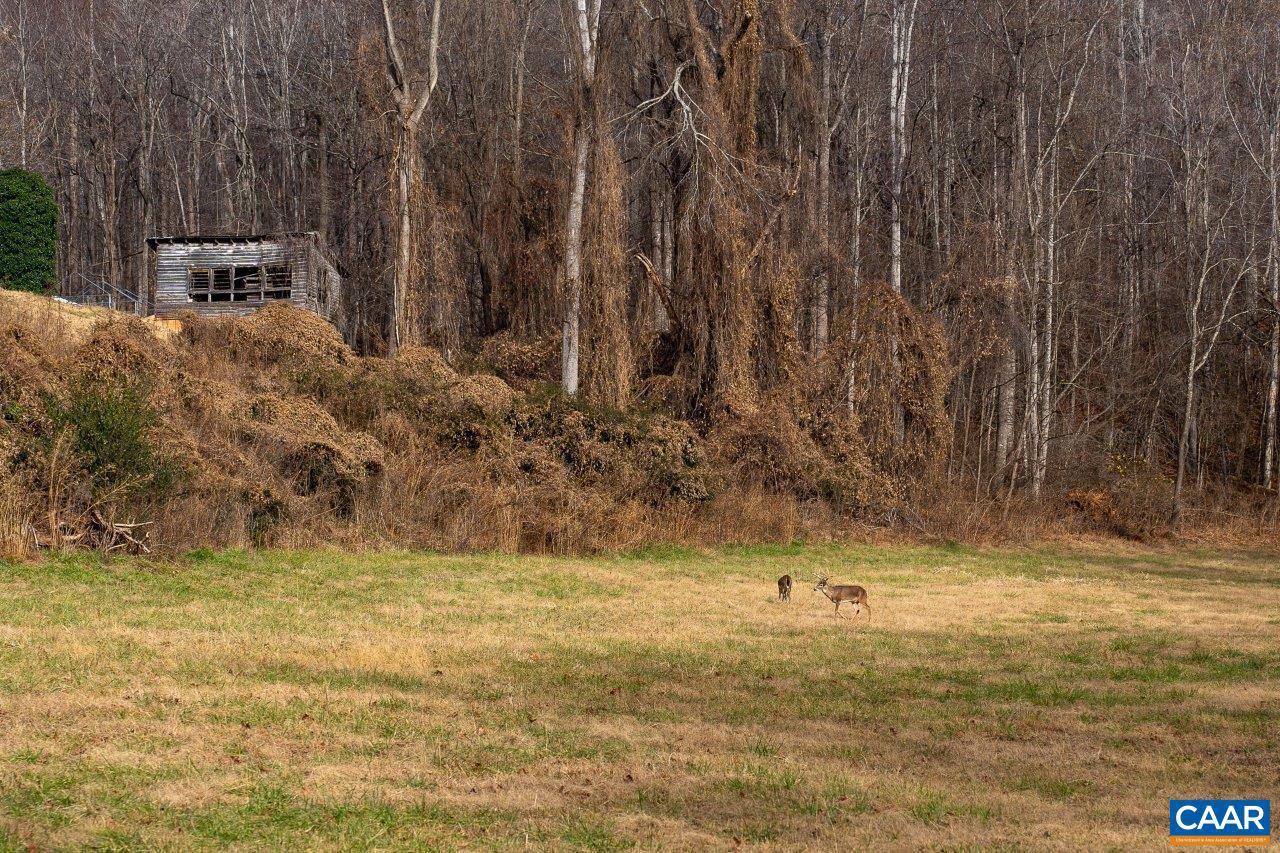 0 FOOTHILLS RD, CALLAWAY, Virginia 24067, ,Farm,For Sale,0 FOOTHILLS RD,669617 MLS # 669617 0 FOOTHILLS RD, CALLAWAY, Virginia 24067, ,Farm,For Sale,0 FOOTHILLS RD,669617 MLS # 669617