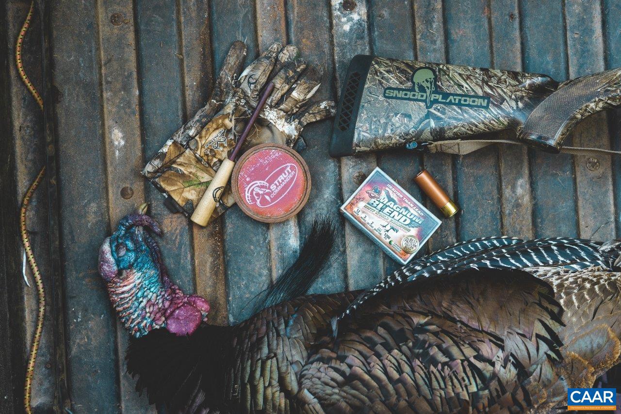 0 FOOTHILLS RD, CALLAWAY, Virginia 24067, ,Farm,For Sale,0 FOOTHILLS RD,669617 MLS # 669617 0 FOOTHILLS RD, CALLAWAY, Virginia 24067, ,Farm,For Sale,0 FOOTHILLS RD,669617 MLS # 669617