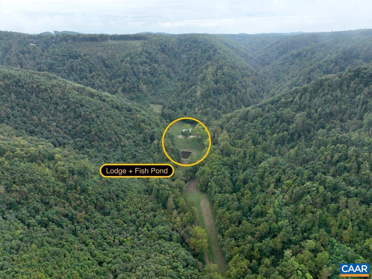 0 FOOTHILLS RD, CALLAWAY, Virginia 24067, ,Farm,For Sale,0 FOOTHILLS RD,669617 MLS # 669617 0 FOOTHILLS RD, CALLAWAY, Virginia 24067, ,Farm,For Sale,0 FOOTHILLS RD,669617 MLS # 669617