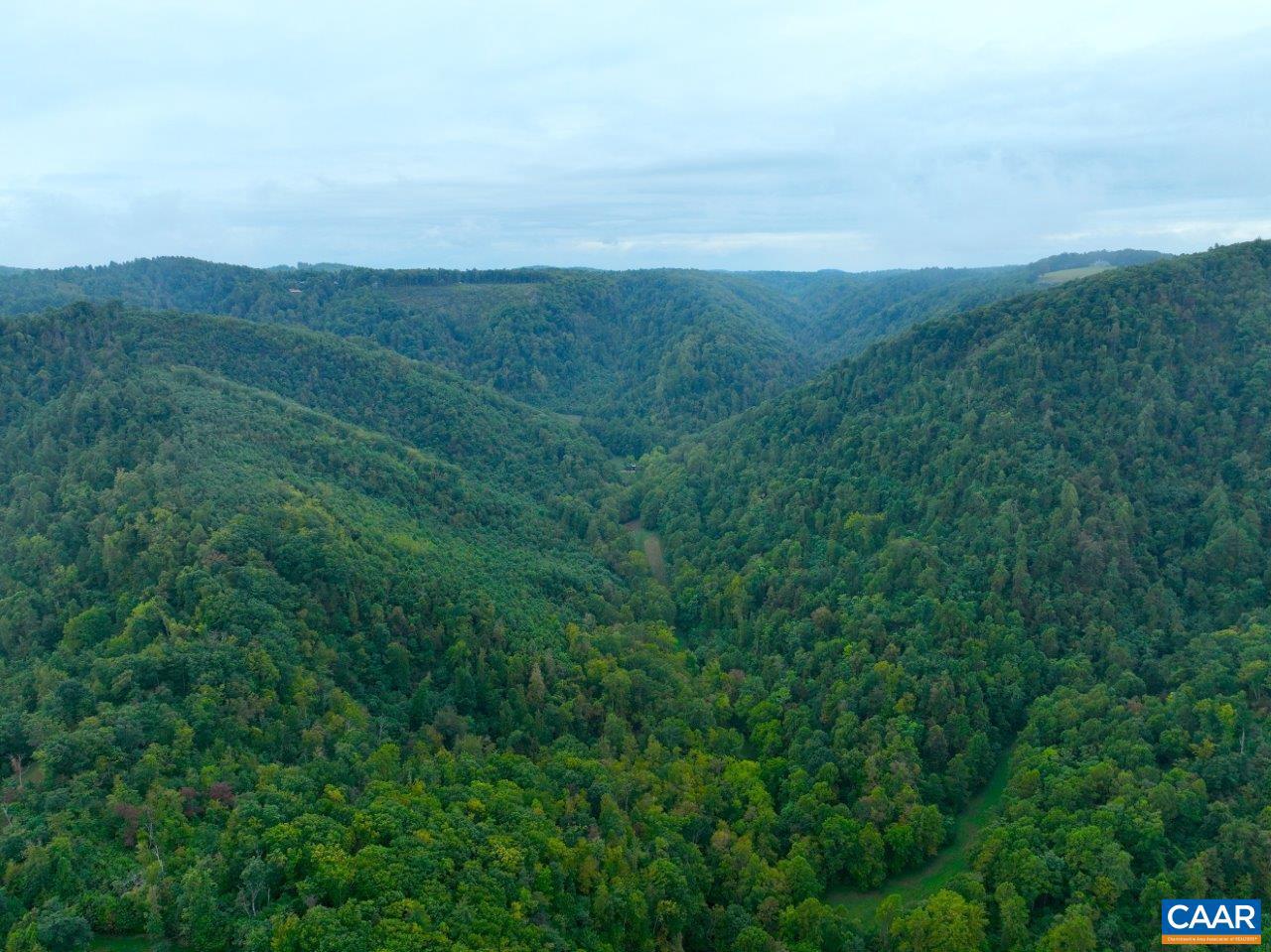 0 FOOTHILLS RD, CALLAWAY, Virginia 24067, ,Farm,For Sale,0 FOOTHILLS RD,669617 MLS # 669617 0 FOOTHILLS RD, CALLAWAY, Virginia 24067, ,Farm,For Sale,0 FOOTHILLS RD,669617 MLS # 669617