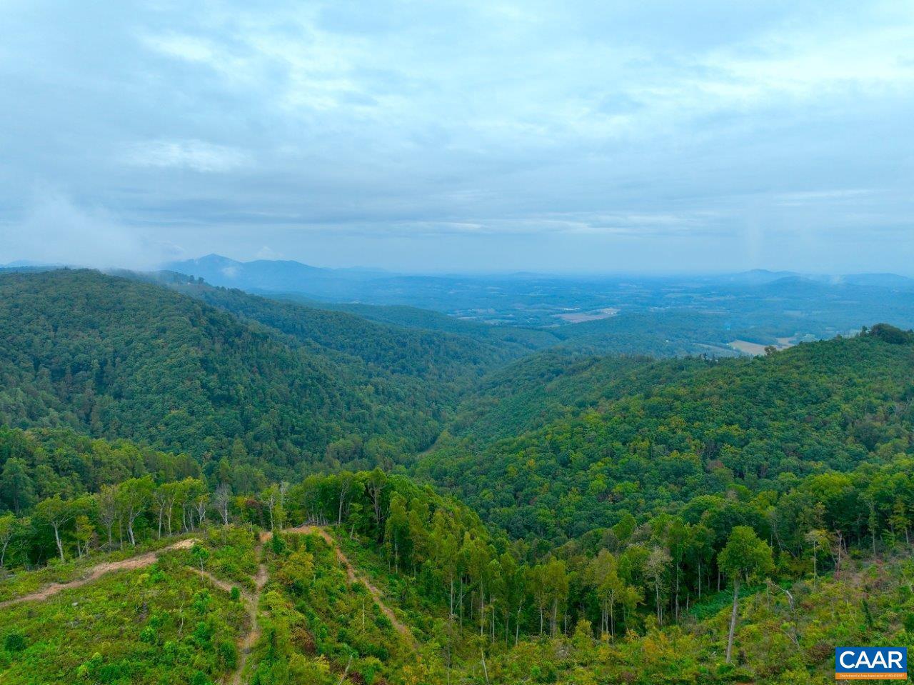 0 FOOTHILLS RD, CALLAWAY, Virginia 24067, ,Farm,For Sale,0 FOOTHILLS RD,669617 MLS # 669617 0 FOOTHILLS RD, CALLAWAY, Virginia 24067, ,Farm,For Sale,0 FOOTHILLS RD,669617 MLS # 669617