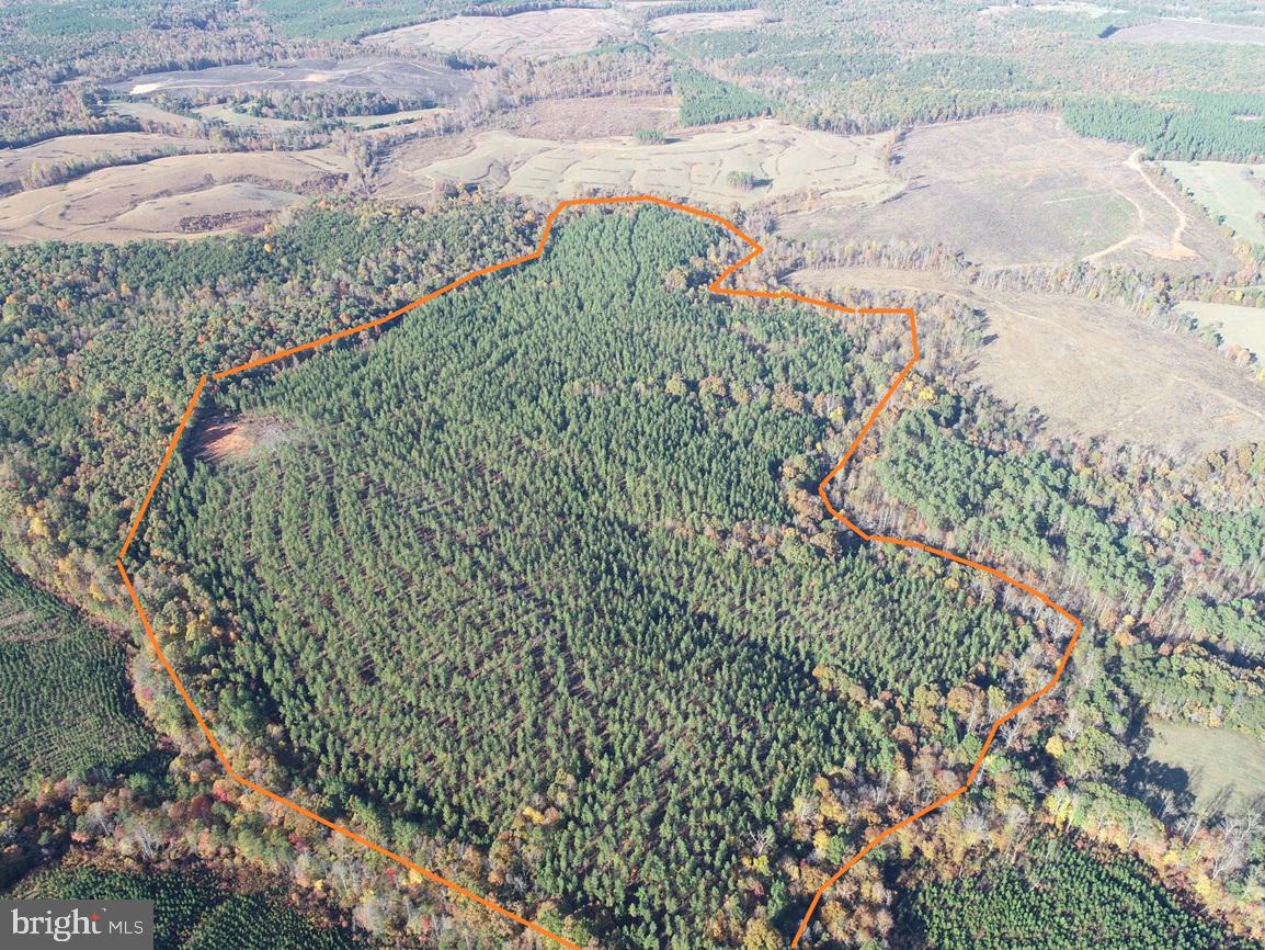 WILDWAY & WATT ABBITT RD (TRACT: BURRUSS &, APPOMATTOX, Virginia 24522, ,Farm,For Sale,WILDWAY & WATT ABBITT RD (TRACT: BURRUSS &,VAAV2000040 MLS # VAAV2000040 WILDWAY & WATT ABBITT RD (TRACT: BURRUSS &, APPOMATTOX, Virginia 24522, ,Farm,For Sale,WILDWAY & WATT ABBITT RD (TRACT: BURRUSS &,VAAV2000040 MLS # VAAV2000040