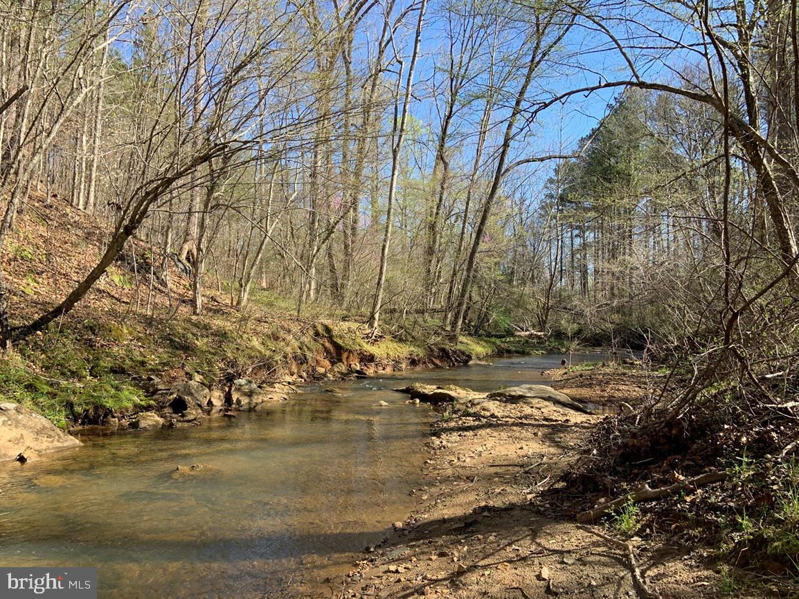 WILDWAY & WATT ABBITT RD (TRACT: BURRUSS &, APPOMATTOX, Virginia 24522, ,Farm,For Sale,WILDWAY & WATT ABBITT RD (TRACT: BURRUSS &,VAAV2000040 MLS # VAAV2000040 WILDWAY & WATT ABBITT RD (TRACT: BURRUSS &, APPOMATTOX, Virginia 24522, ,Farm,For Sale,WILDWAY & WATT ABBITT RD (TRACT: BURRUSS &,VAAV2000040 MLS # VAAV2000040