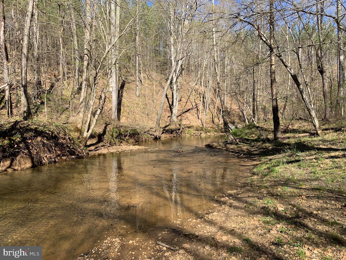 WILDWAY & WATT ABBITT RD (TRACT: BURRUSS &, APPOMATTOX, Virginia 24522, ,Farm,For Sale,WILDWAY & WATT ABBITT RD (TRACT: BURRUSS &,VAAV2000040 MLS # VAAV2000040 WILDWAY & WATT ABBITT RD (TRACT: BURRUSS &, APPOMATTOX, Virginia 24522, ,Farm,For Sale,WILDWAY & WATT ABBITT RD (TRACT: BURRUSS &,VAAV2000040 MLS # VAAV2000040