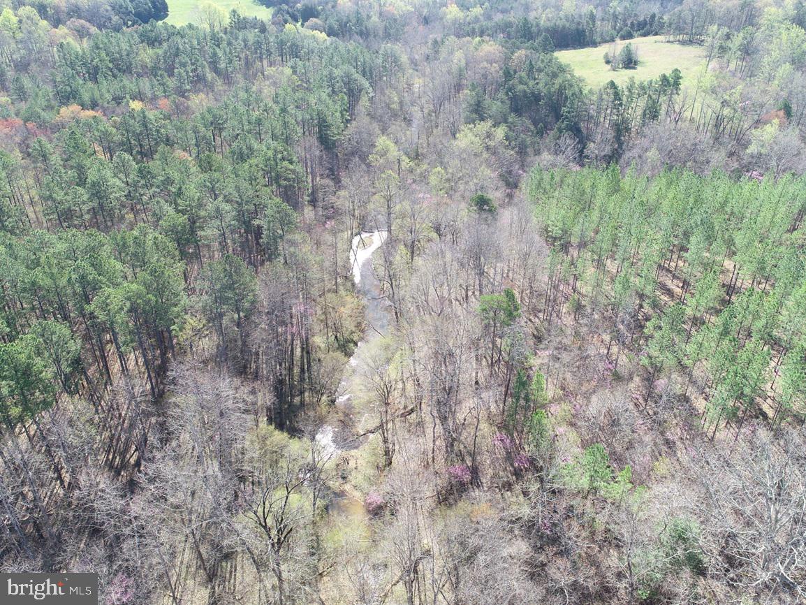 WILDWAY & WATT ABBITT RD (TRACT: BURRUSS &, APPOMATTOX, Virginia 24522, ,Farm,For Sale,WILDWAY & WATT ABBITT RD (TRACT: BURRUSS &,VAAV2000040 MLS # VAAV2000040 WILDWAY & WATT ABBITT RD (TRACT: BURRUSS &, APPOMATTOX, Virginia 24522, ,Farm,For Sale,WILDWAY & WATT ABBITT RD (TRACT: BURRUSS &,VAAV2000040 MLS # VAAV2000040