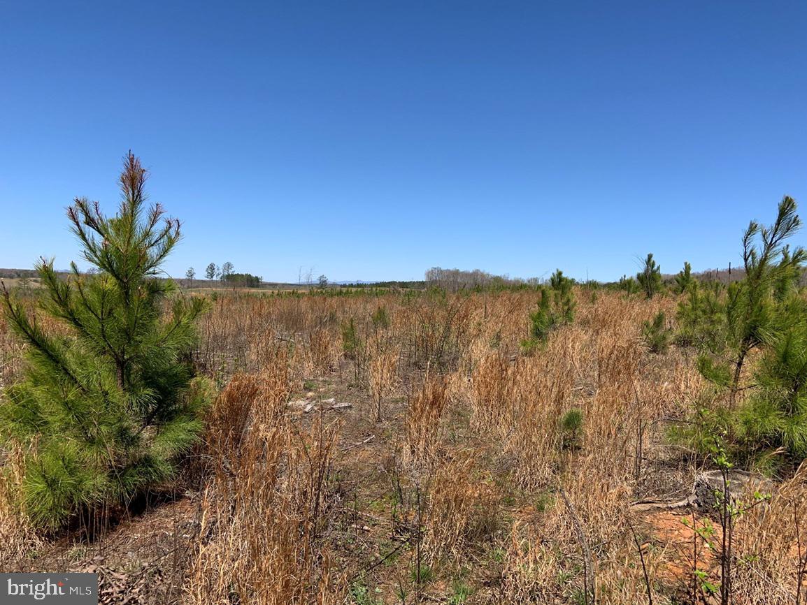 WILDWAY & WATT ABBITT RD (TRACT: BURRUSS &, APPOMATTOX, Virginia 24522, ,Farm,For Sale,WILDWAY & WATT ABBITT RD (TRACT: BURRUSS &,VAAV2000040 MLS # VAAV2000040 WILDWAY & WATT ABBITT RD (TRACT: BURRUSS &, APPOMATTOX, Virginia 24522, ,Farm,For Sale,WILDWAY & WATT ABBITT RD (TRACT: BURRUSS &,VAAV2000040 MLS # VAAV2000040