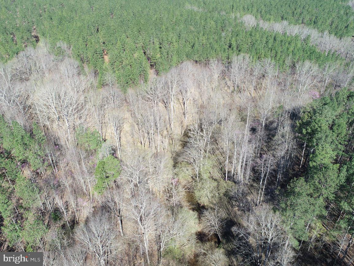 WILDWAY & WATT ABBITT RD (TRACT: BURRUSS &, APPOMATTOX, Virginia 24522, ,Farm,For Sale,WILDWAY & WATT ABBITT RD (TRACT: BURRUSS &,VAAV2000040 MLS # VAAV2000040 WILDWAY & WATT ABBITT RD (TRACT: BURRUSS &, APPOMATTOX, Virginia 24522, ,Farm,For Sale,WILDWAY & WATT ABBITT RD (TRACT: BURRUSS &,VAAV2000040 MLS # VAAV2000040